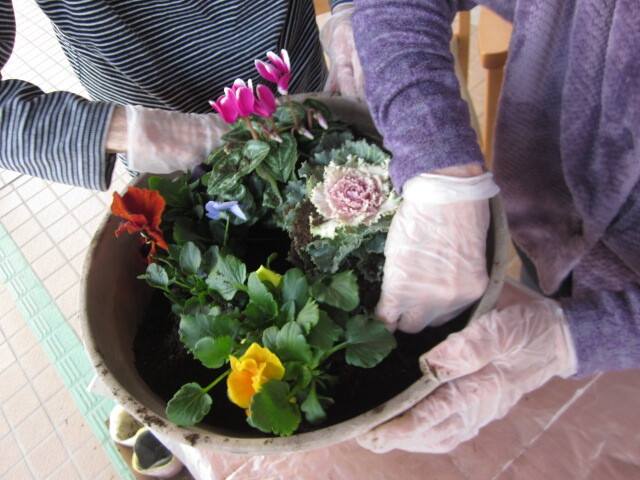 花の寄せ植え-2　ニチイホーム東府中