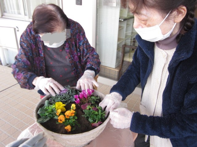 花の寄せ植え-5　ニチイホーム東府中