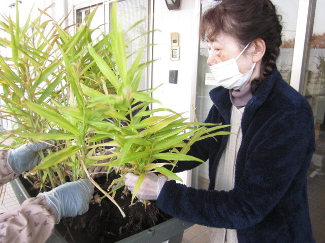 花の寄せ植え-6　ニチイホーム東府中