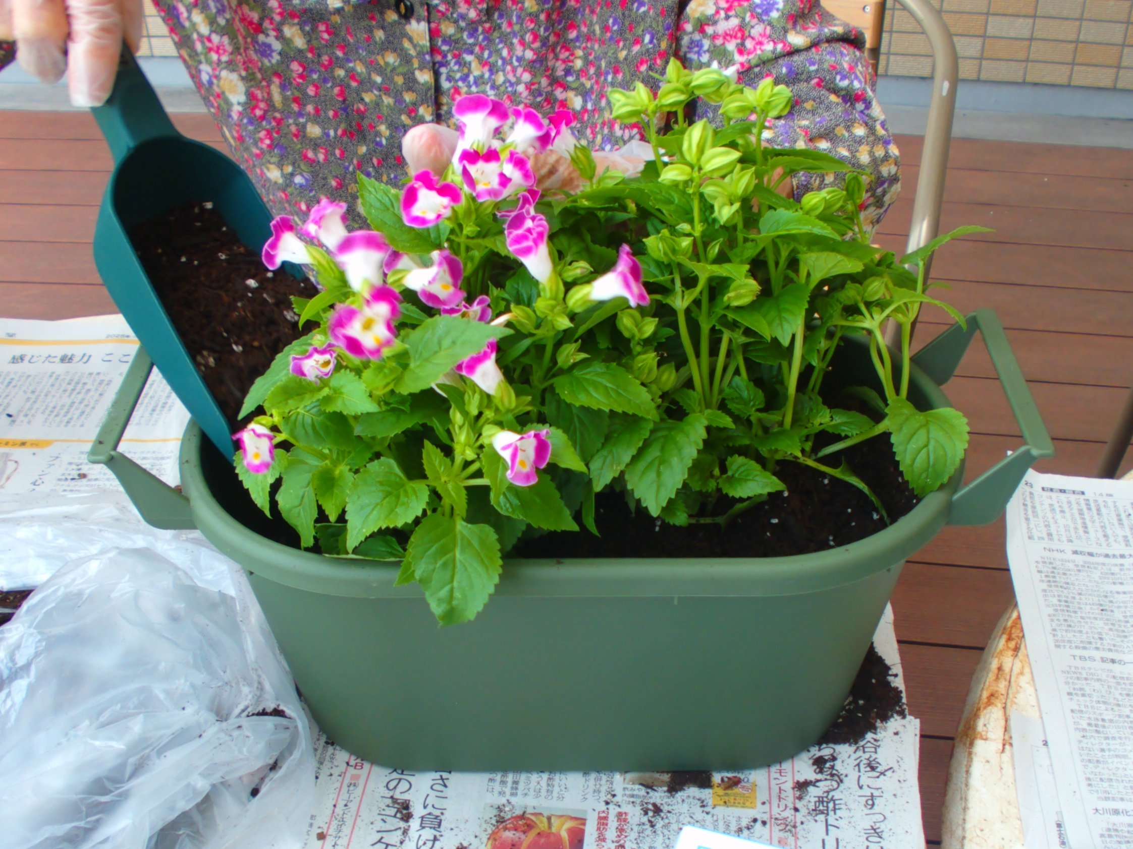 花壇作り-1　ニチイホーム東浦和