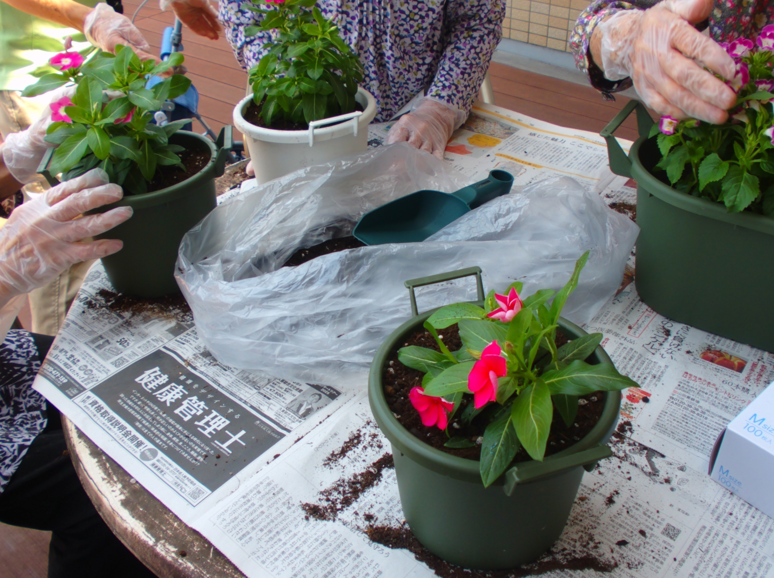 花壇作り-3　ニチイホーム東浦和