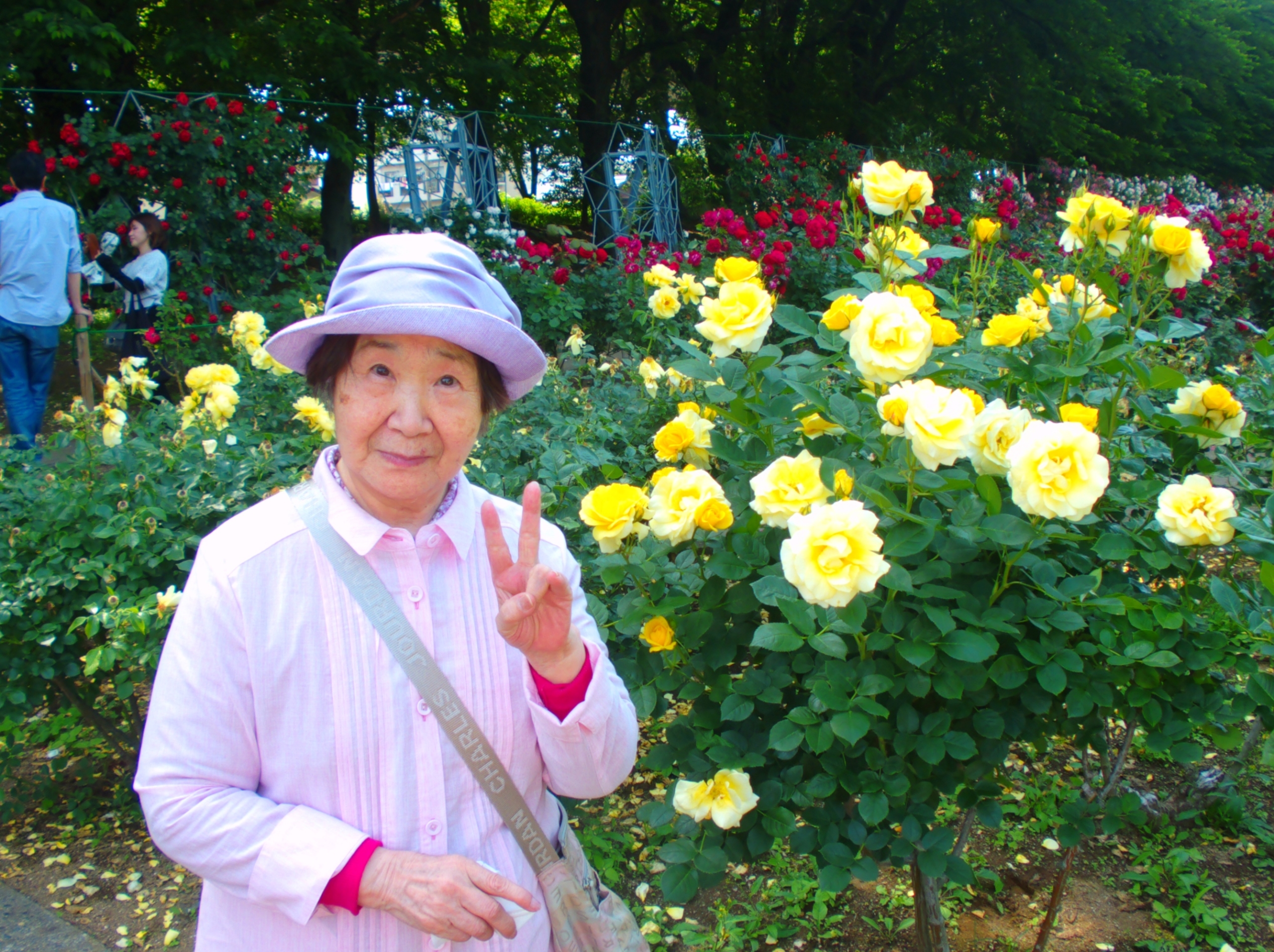 バラ園-1 ニチイホーム東浦和