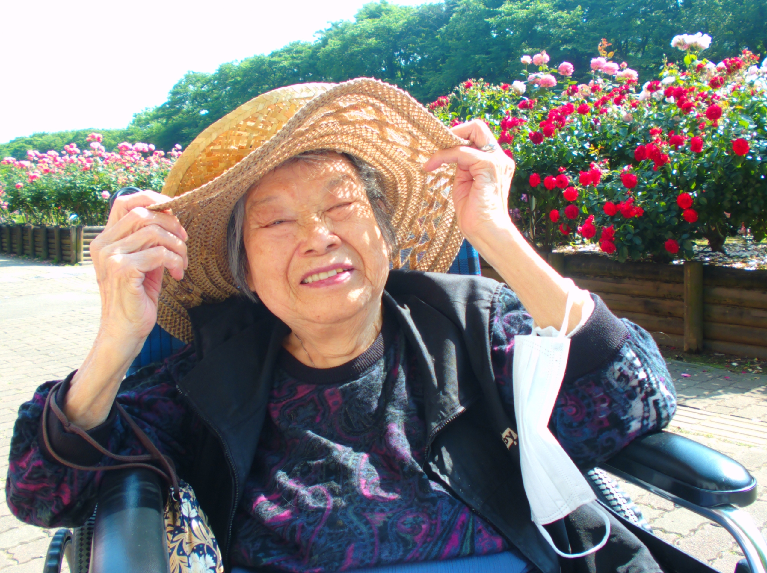 バラ園-3 ニチイホーム東浦和