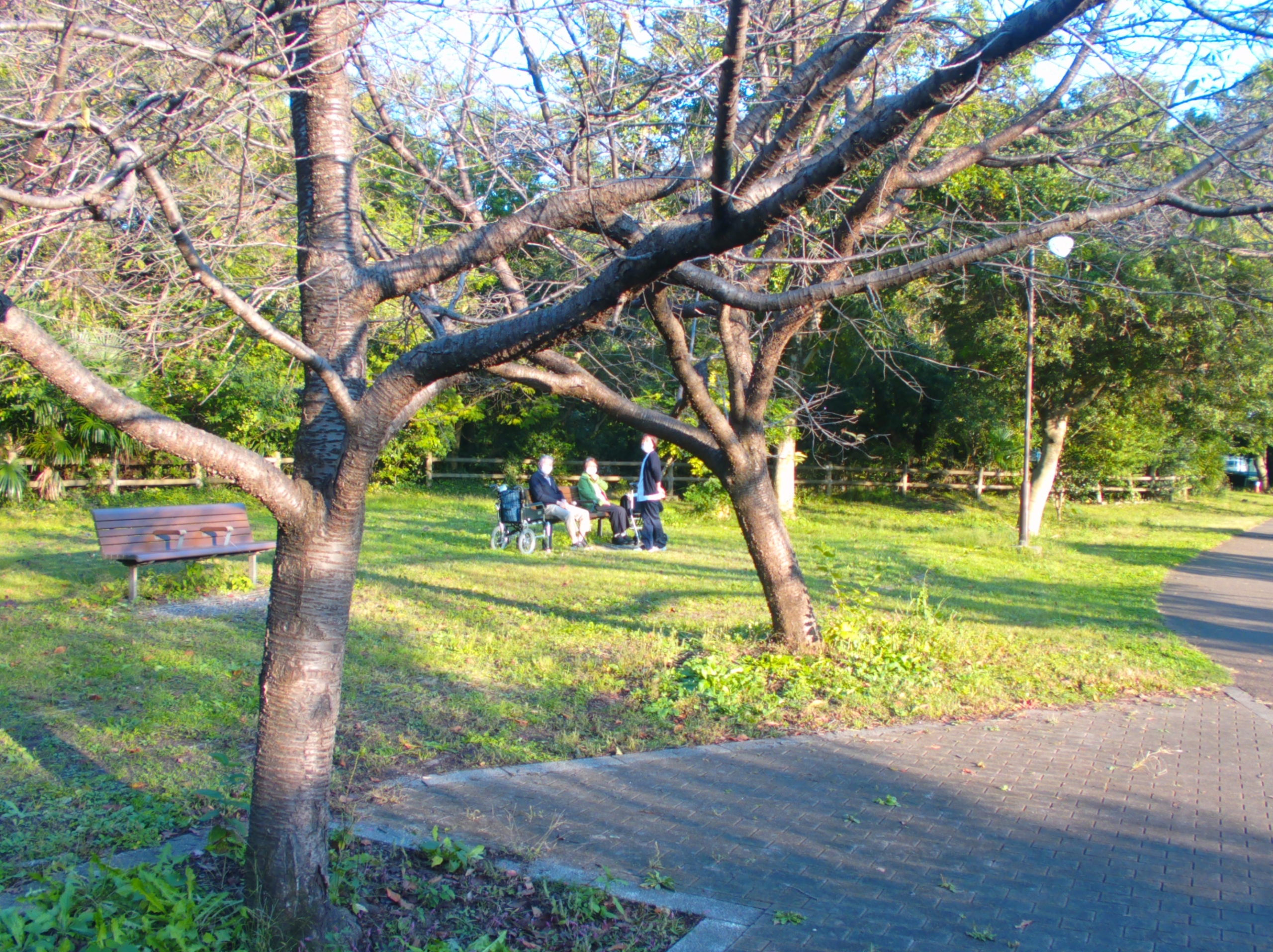 紅葉-2　ニチイホーム東浦和