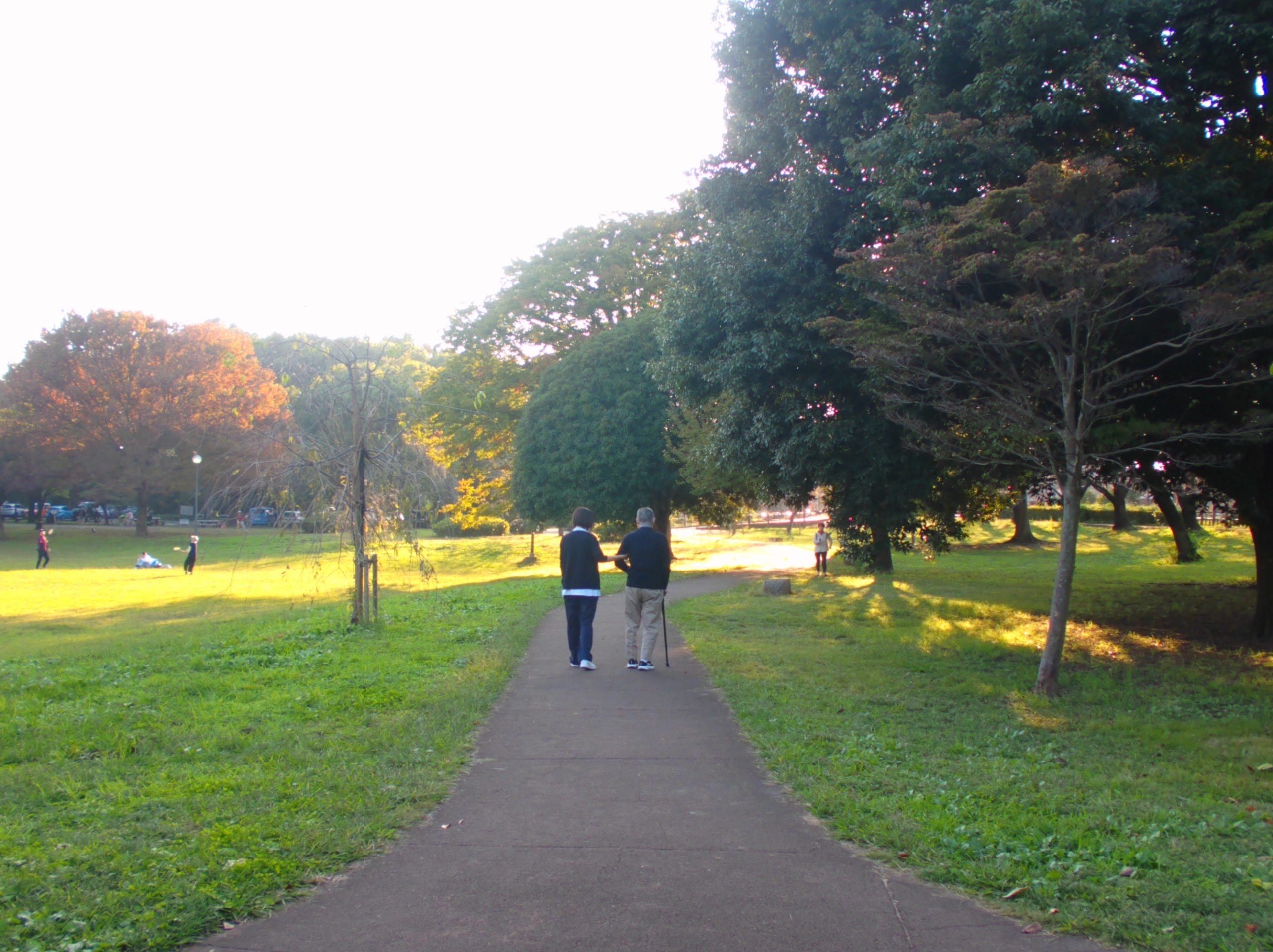 紅葉-1　ニチイホーム東浦和