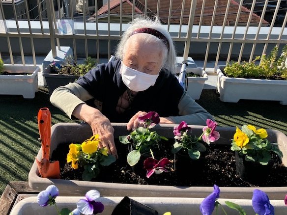 屋上園芸-1　ニチイホーム稲城