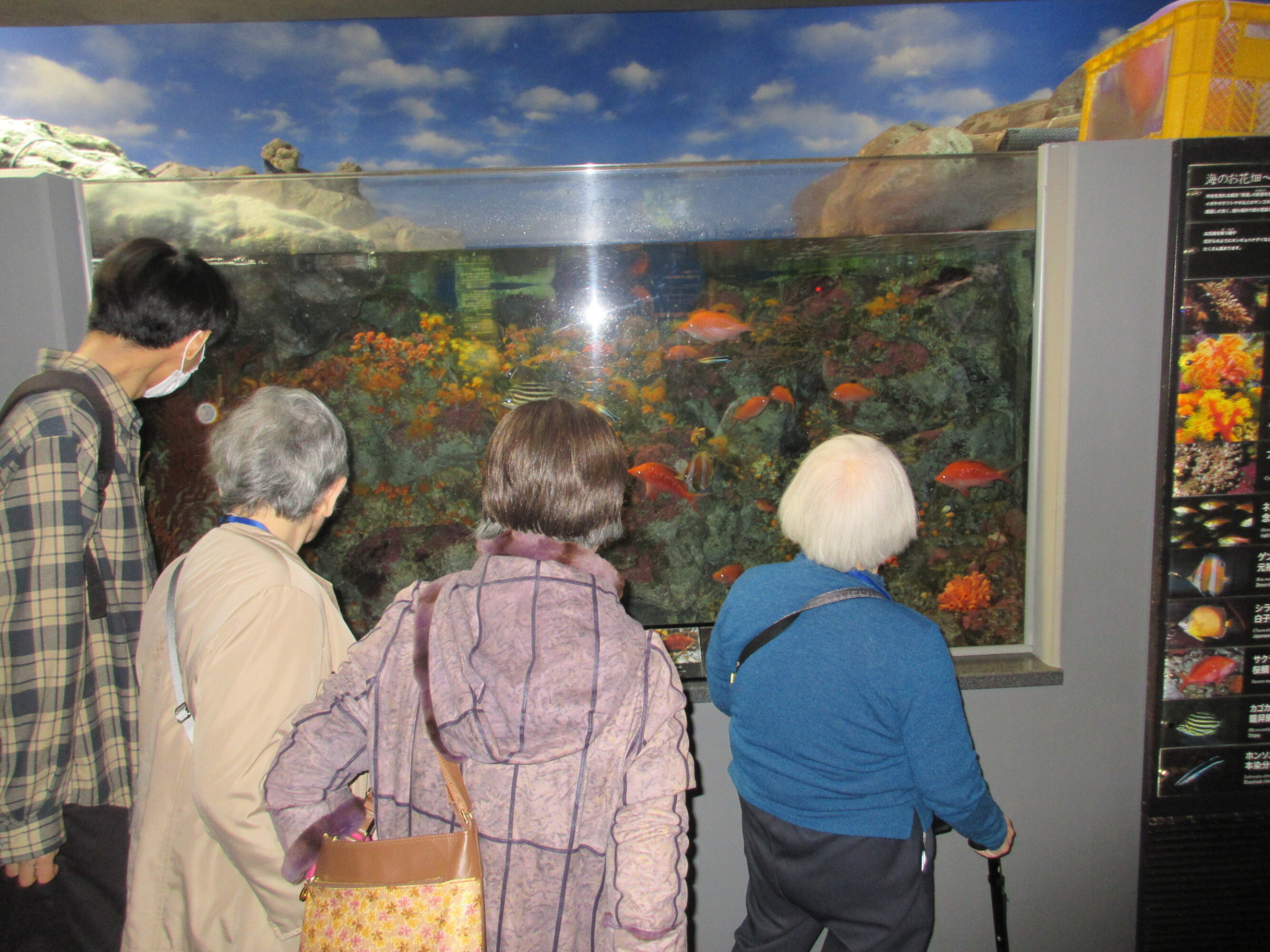 新江ノ島水族館-3　ニチイホーム勝どき