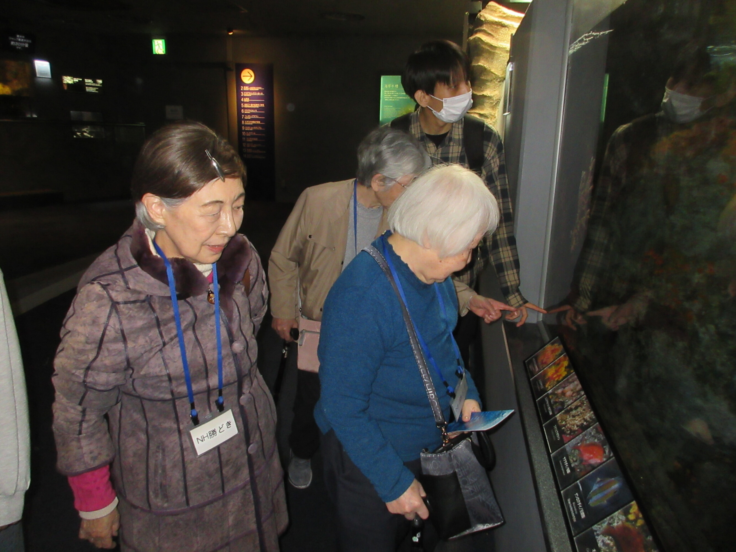 新江ノ島水族館-4　ニチイホーム勝どき