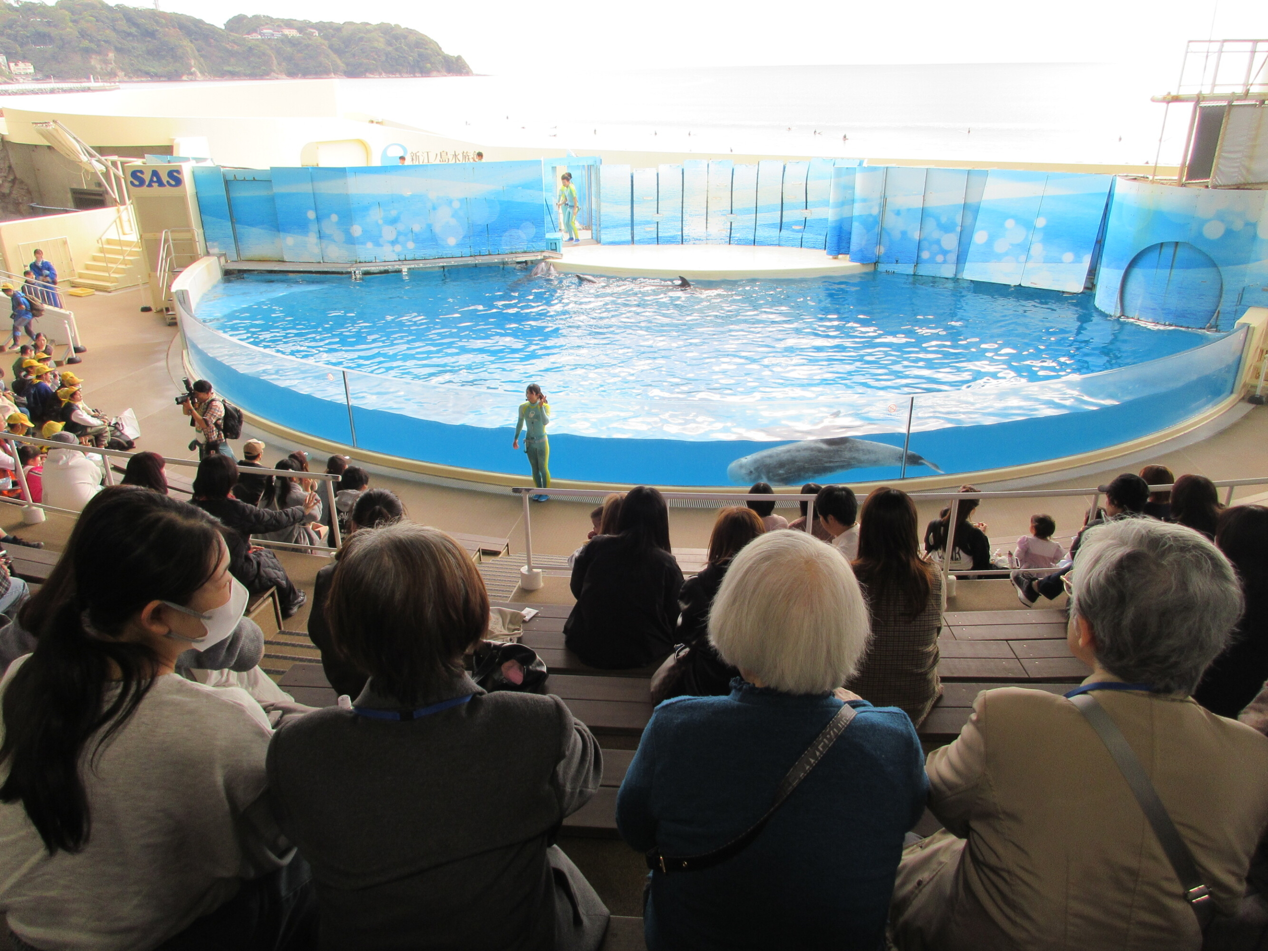 新江ノ島水族館-5　ニチイホーム勝どき