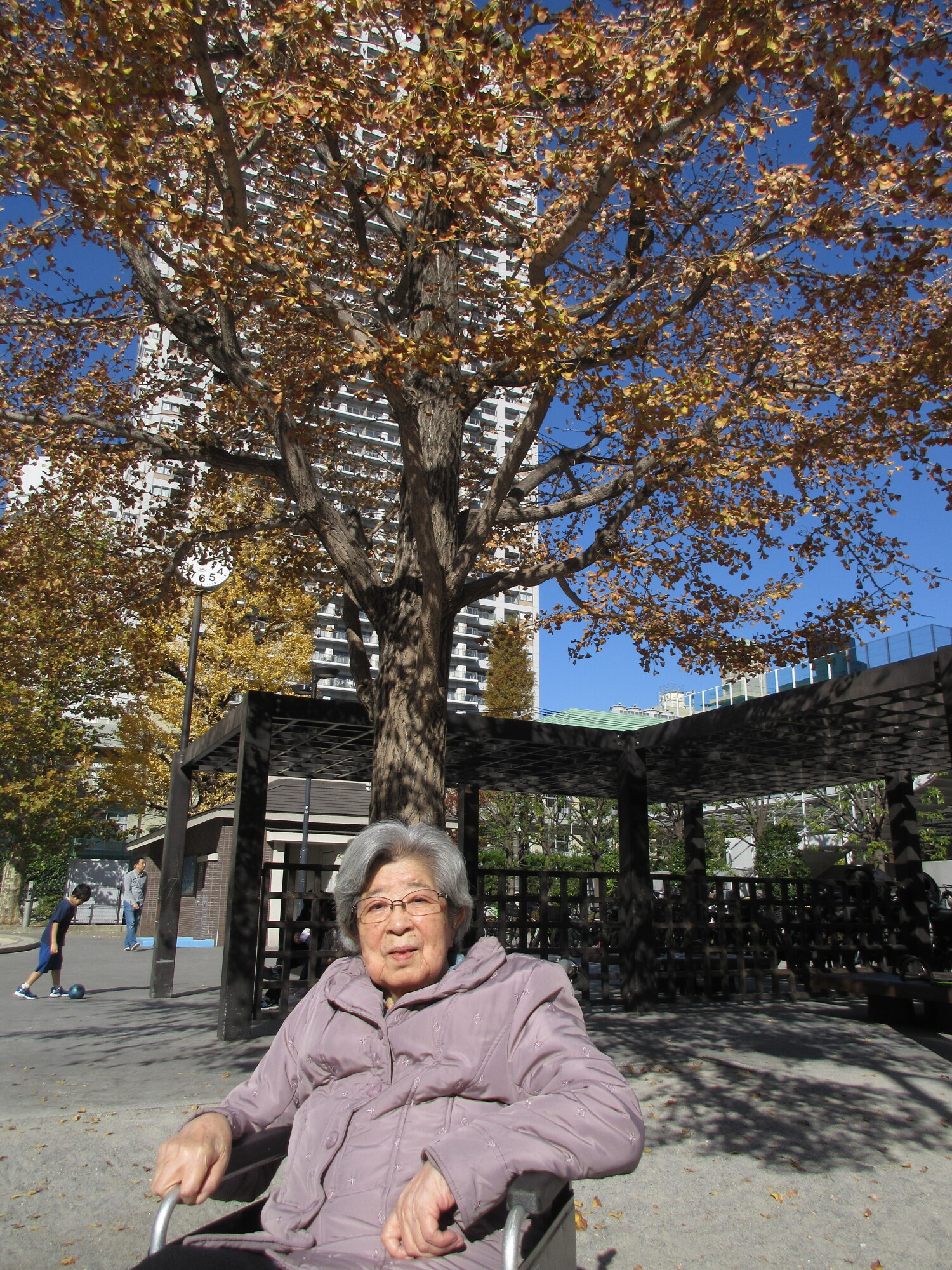 紅葉鑑賞-1　ニチイホーム勝どき