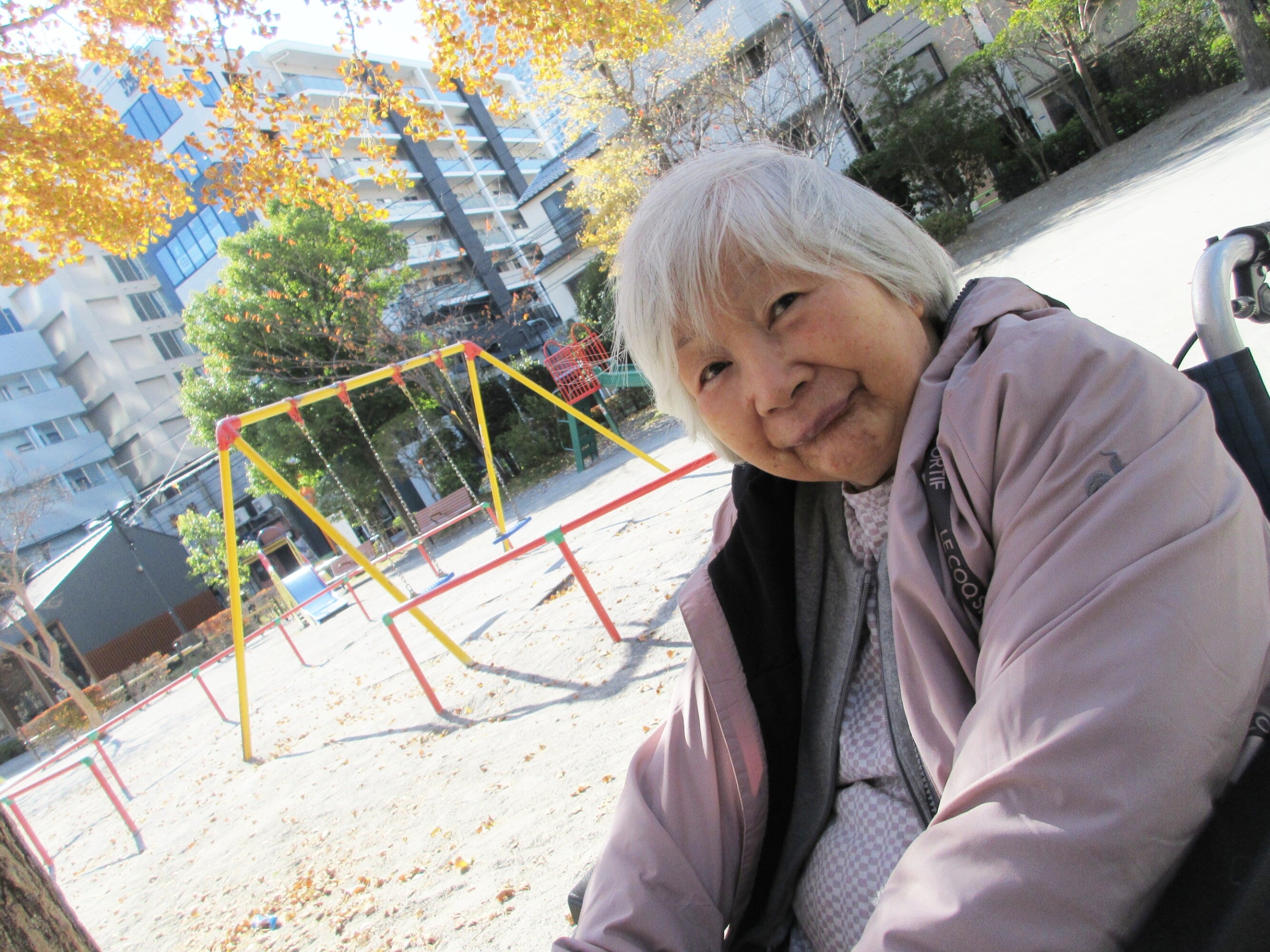 紅葉鑑賞-6　ニチイホーム勝どき