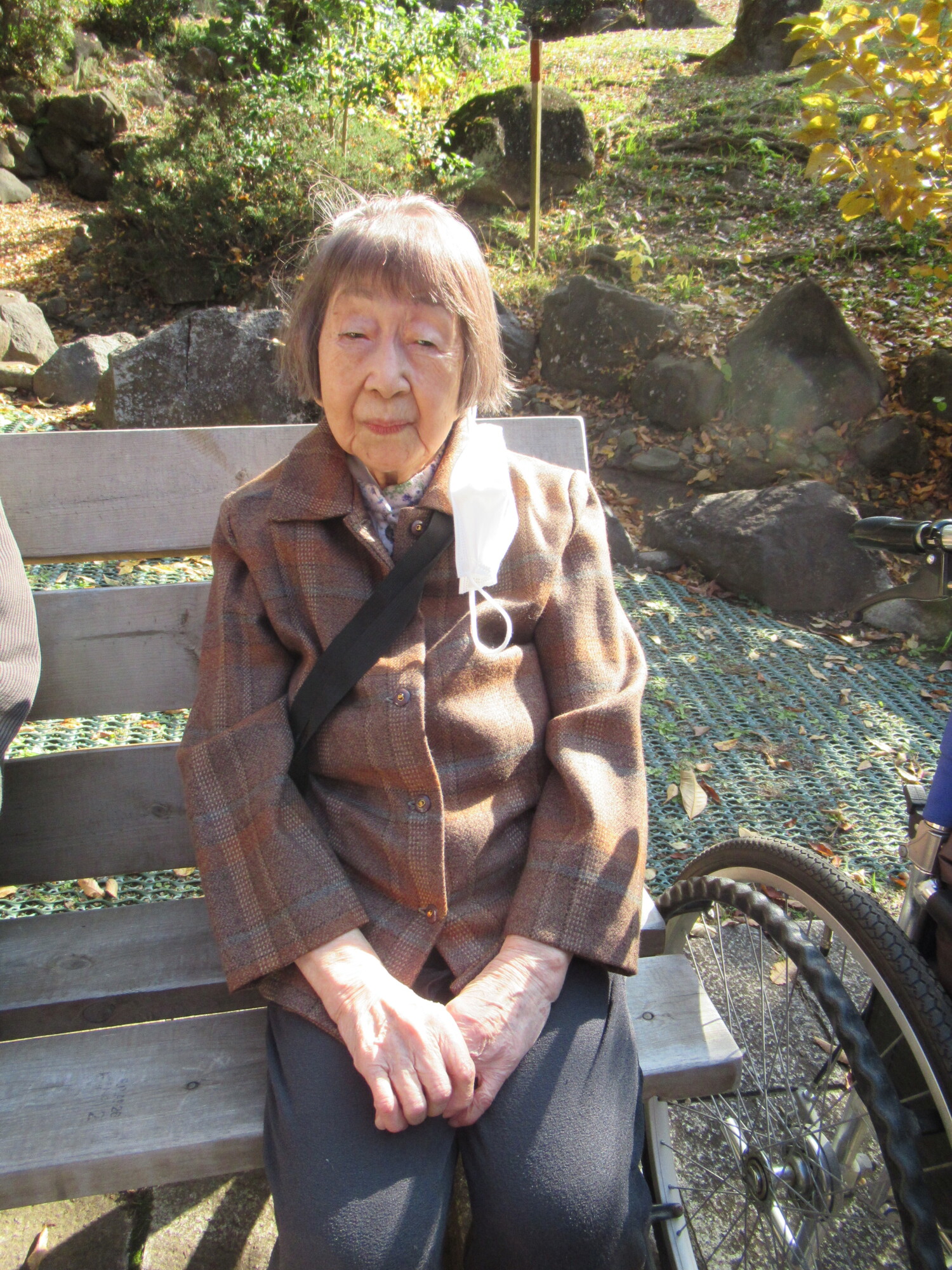 紅葉鑑賞-3　ニチイホーム柿生