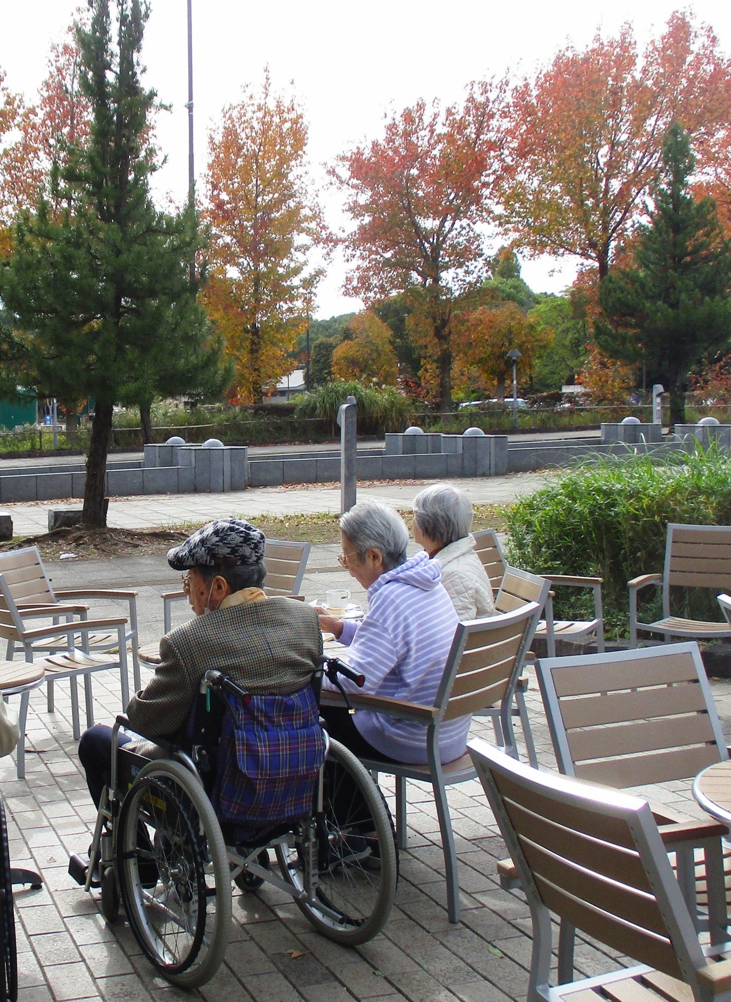 紅葉-2　ニチイホーム柏の葉