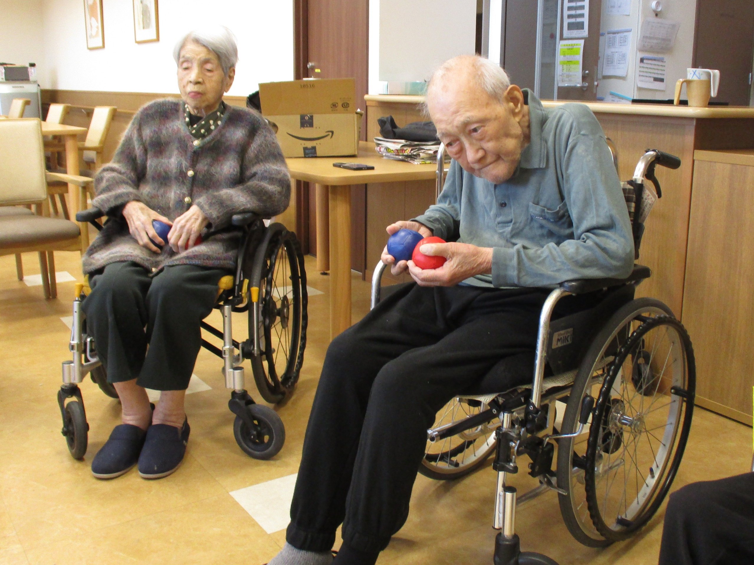 ボッチャ-2 ニチイホーム柏の葉