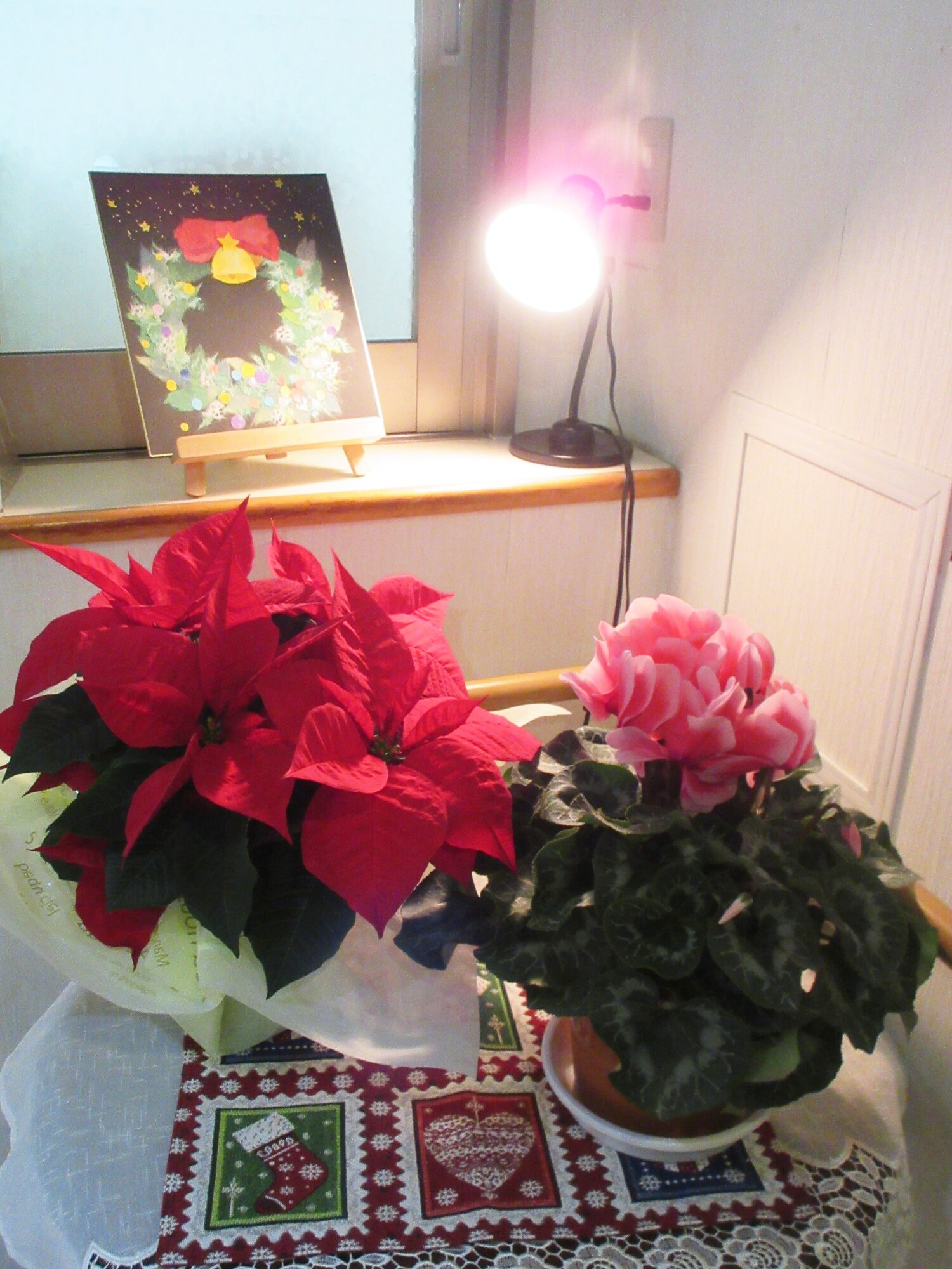 お花が綺麗に咲いております♪-1 ニチイホーム国立