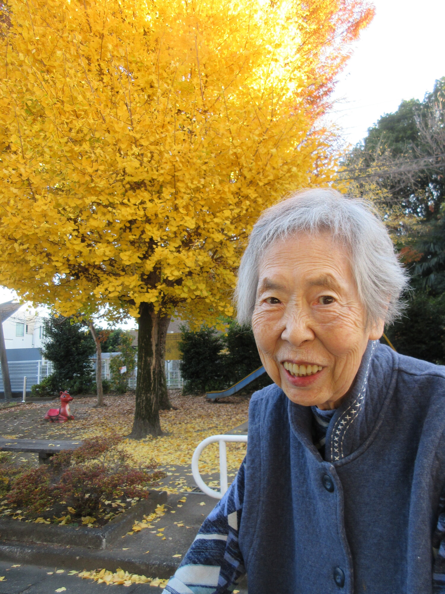 お花が綺麗に咲いております♪-2　ニチイホーム国立