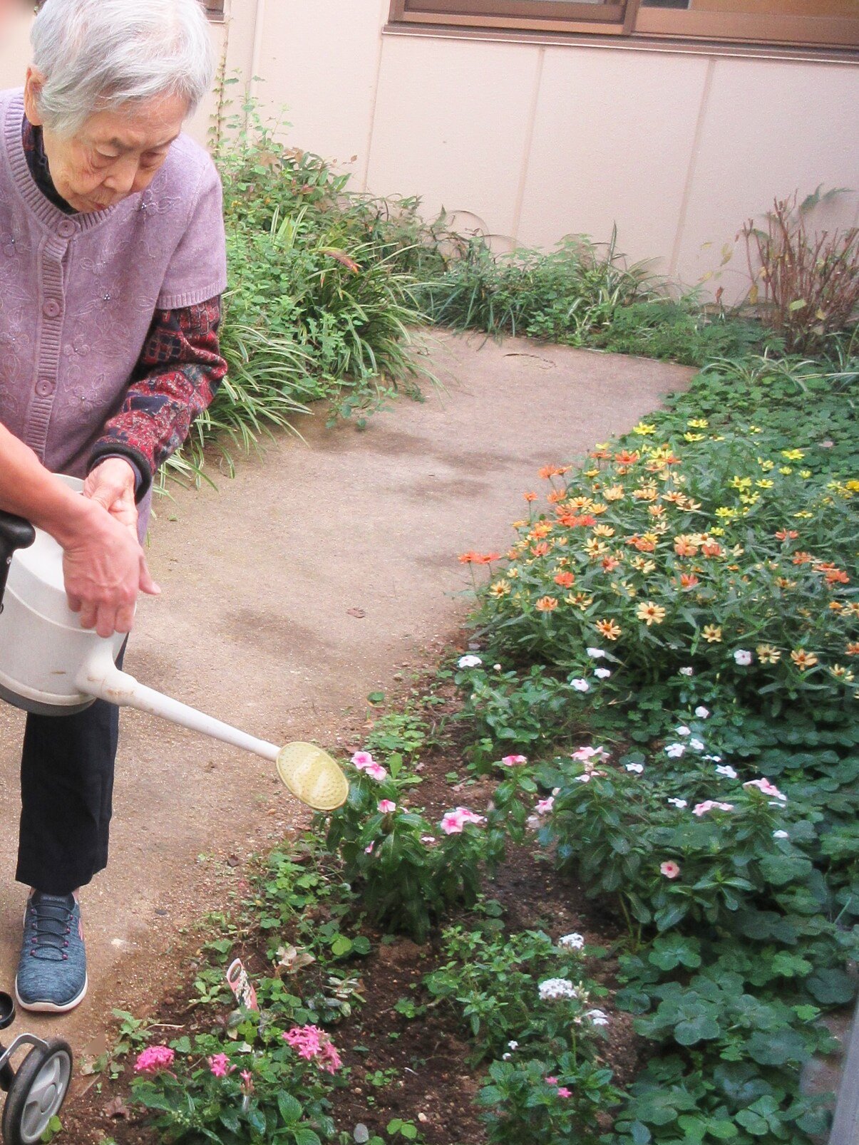 お花が綺麗に咲いております♪-4　ニチイホーム国立
