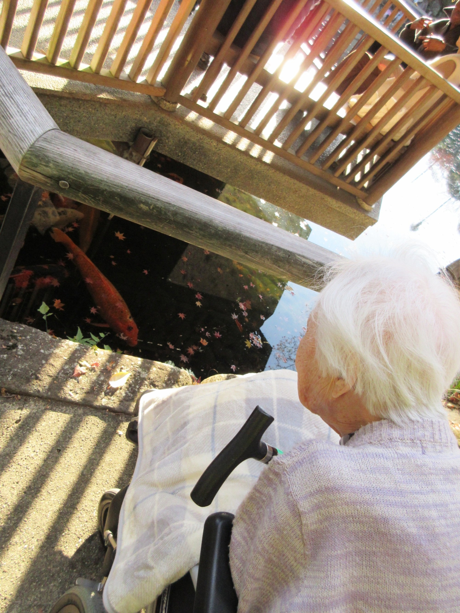 紅葉狩りに行ってきました-3　ニチイホーム目白