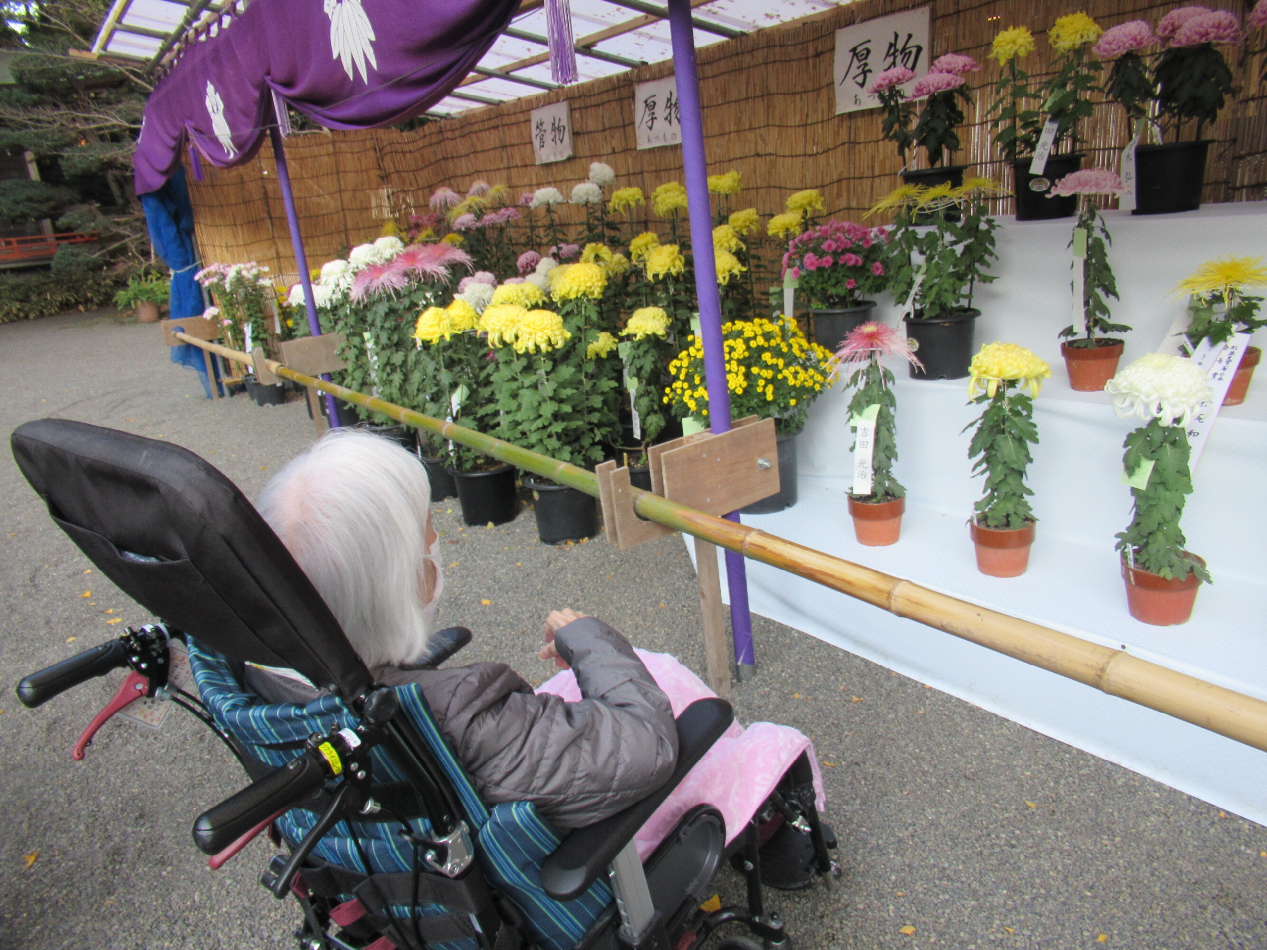 紅葉狩り-2 ニチイホーム中野南台