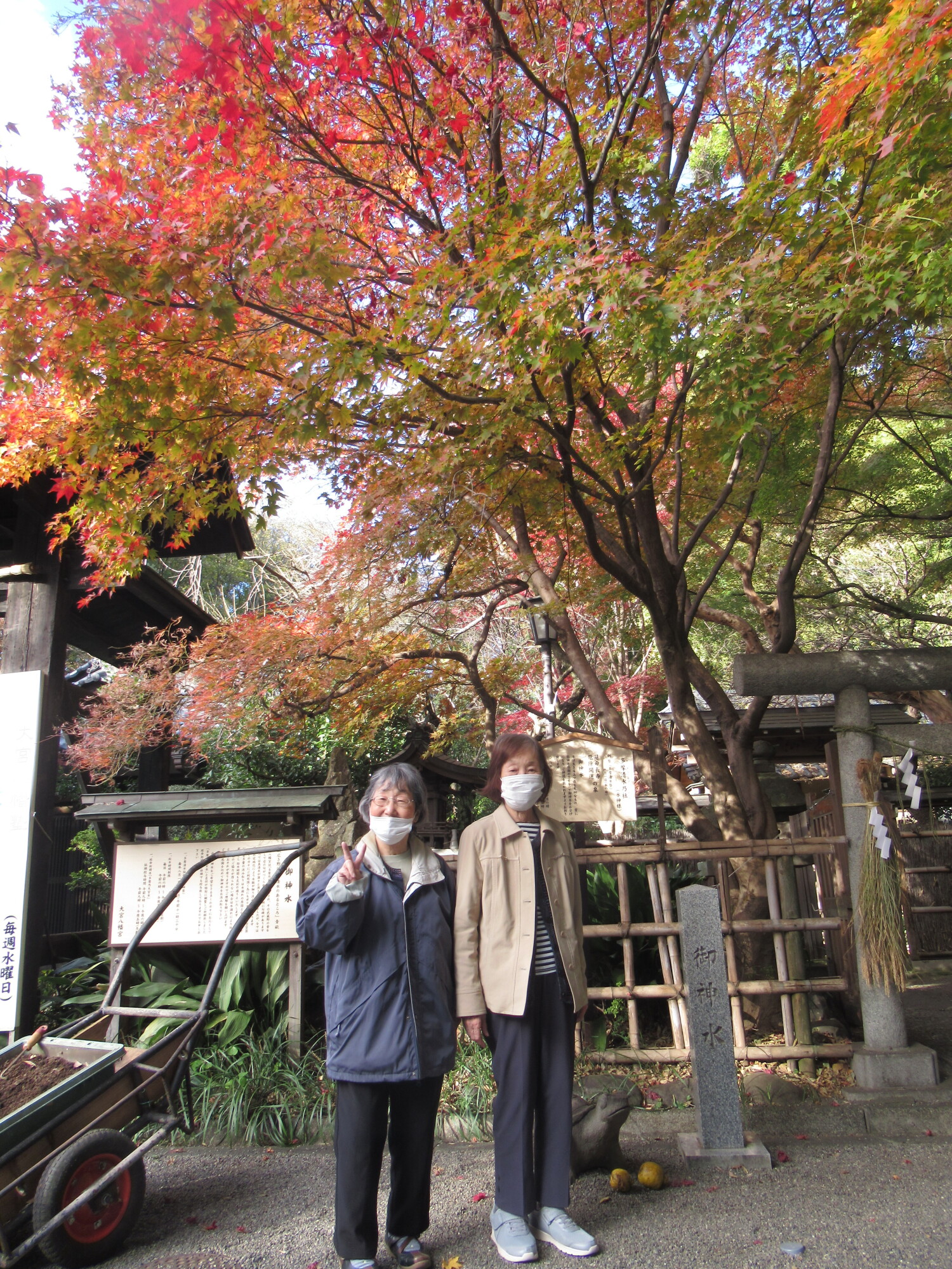 紅葉狩り-4 ニチイホーム中野南台