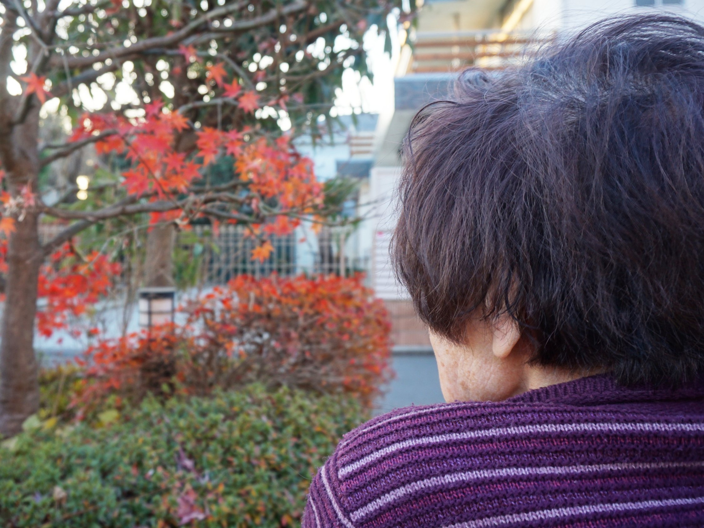 外気浴でリフレッシュ-3　ニチイホーム練馬高野台