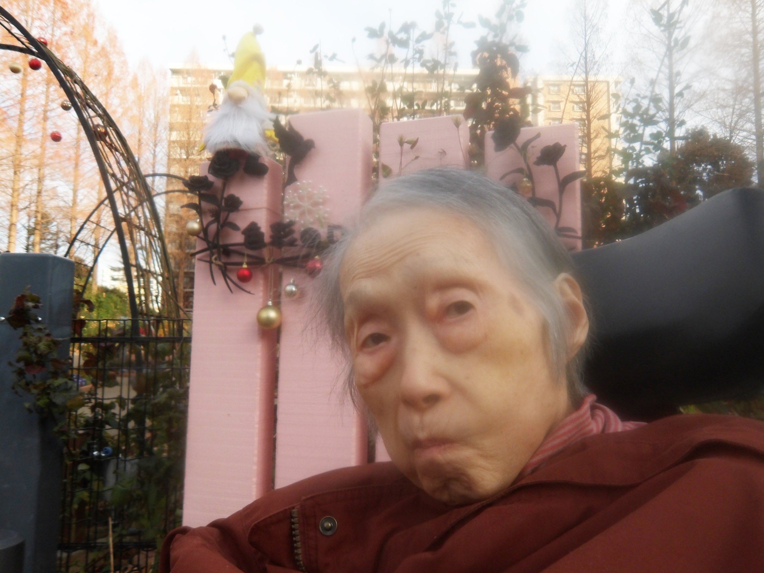 イルミネーション鑑賞-2　ニチイホーム練馬高野台