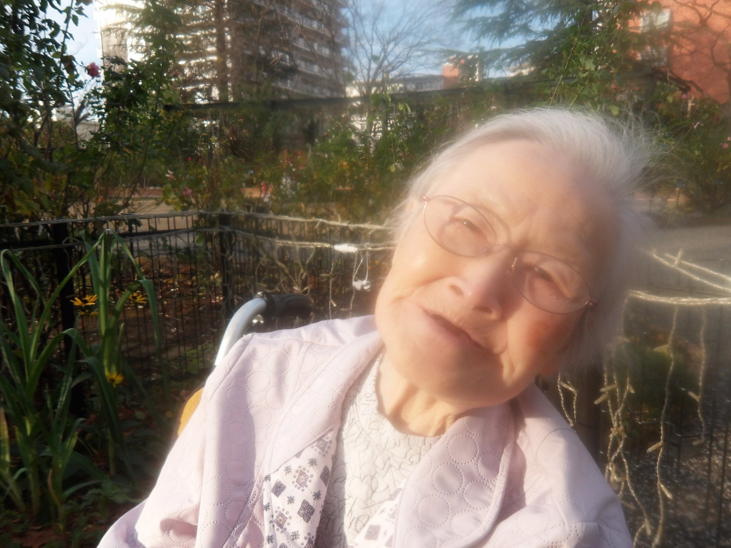 イルミネーション鑑賞-3　ニチイホーム練馬高野台