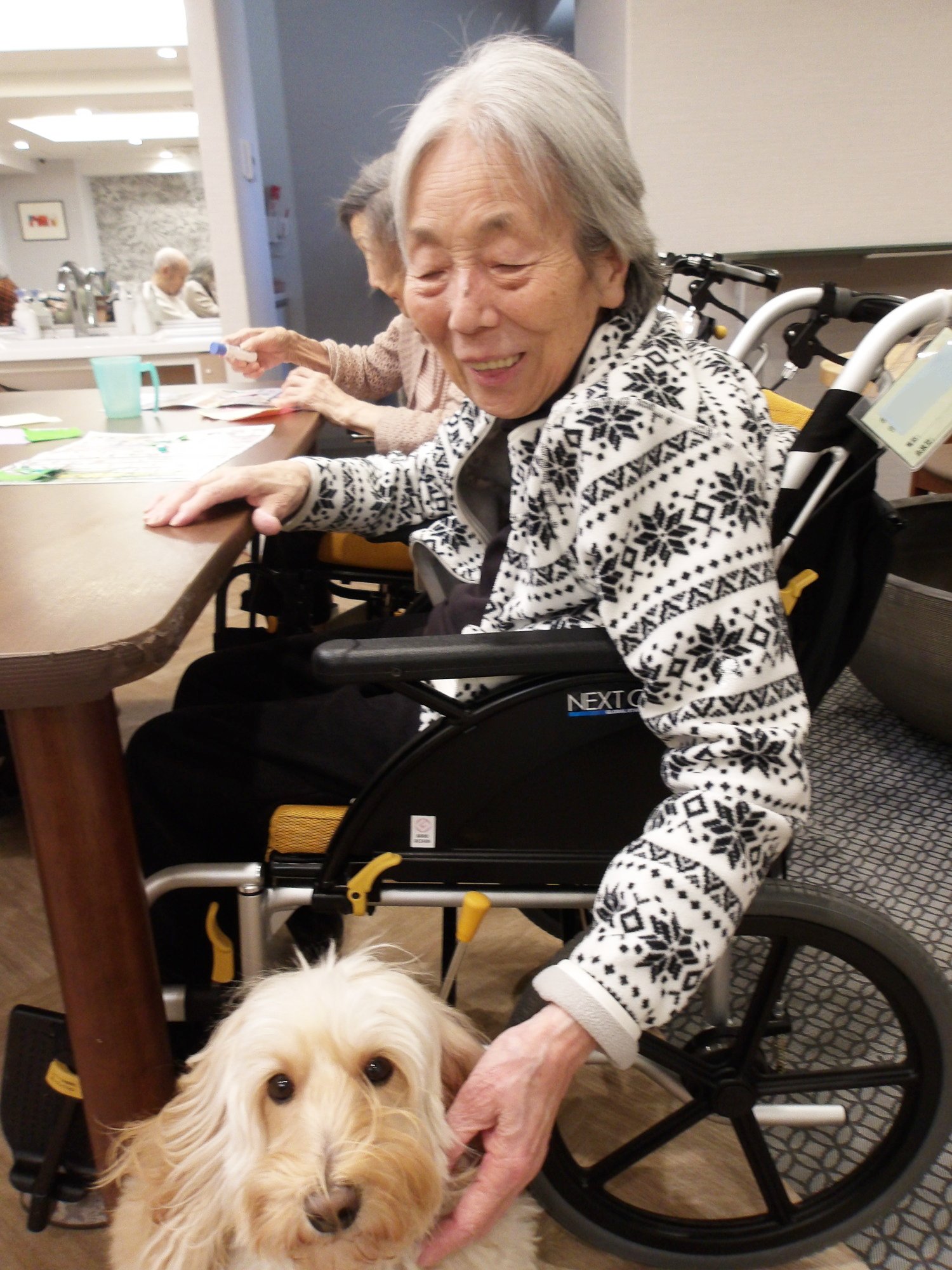 セラピー犬アミと-1　ニチイホーム野方