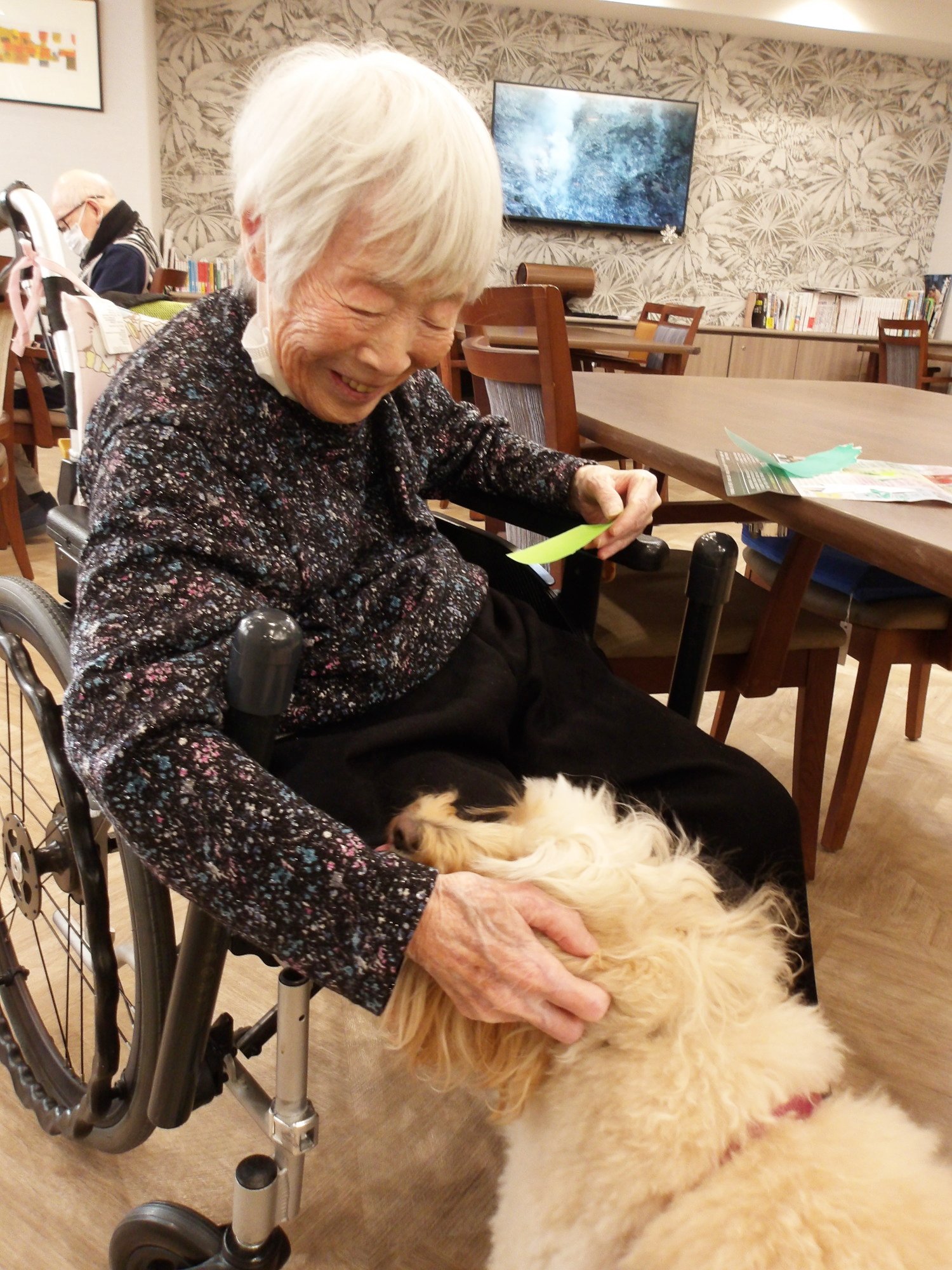 セラピー犬アミと-4　ニチイホーム野方