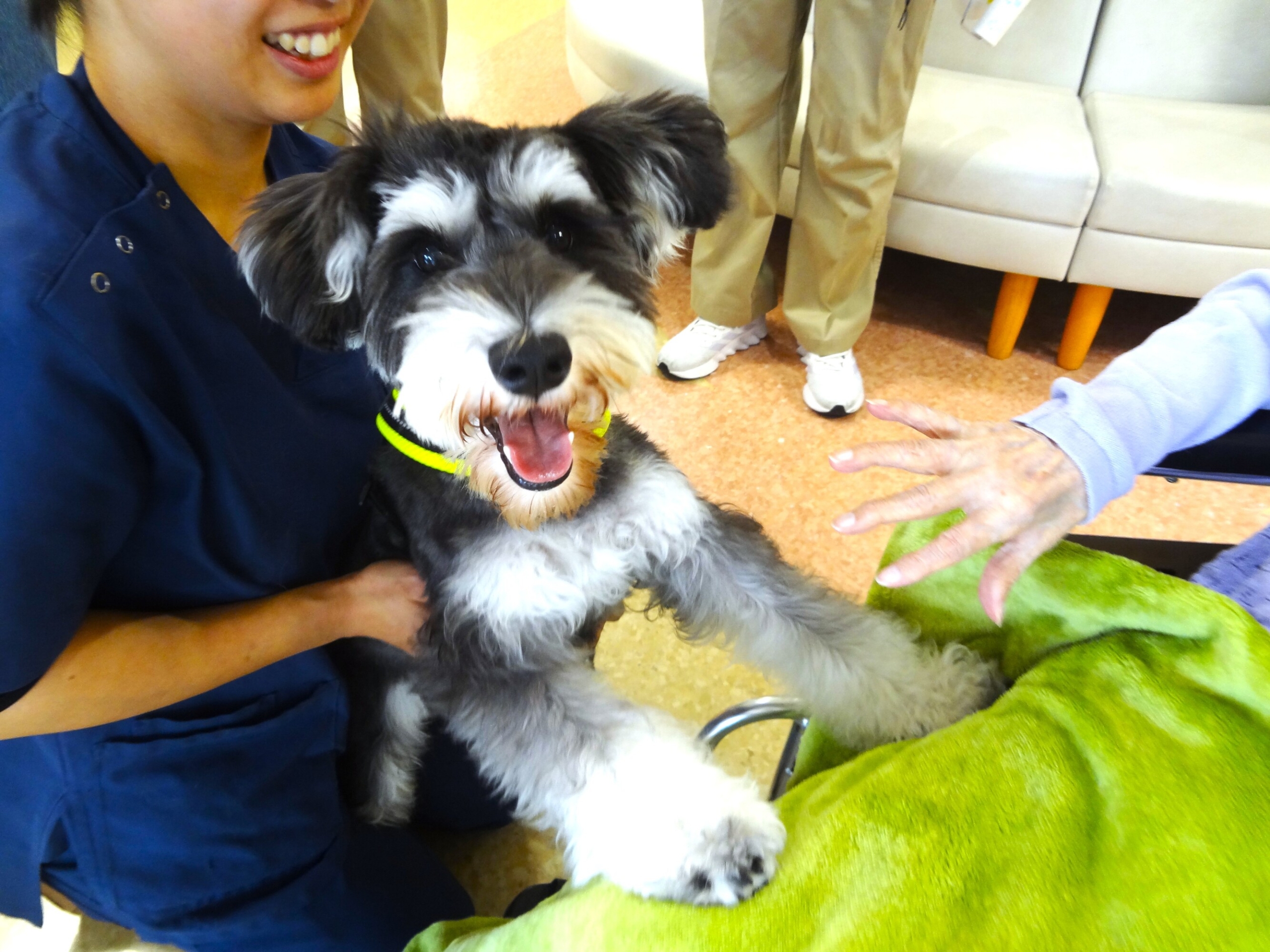 アニマルセラピー-4　ニチイホーム鷺沼南