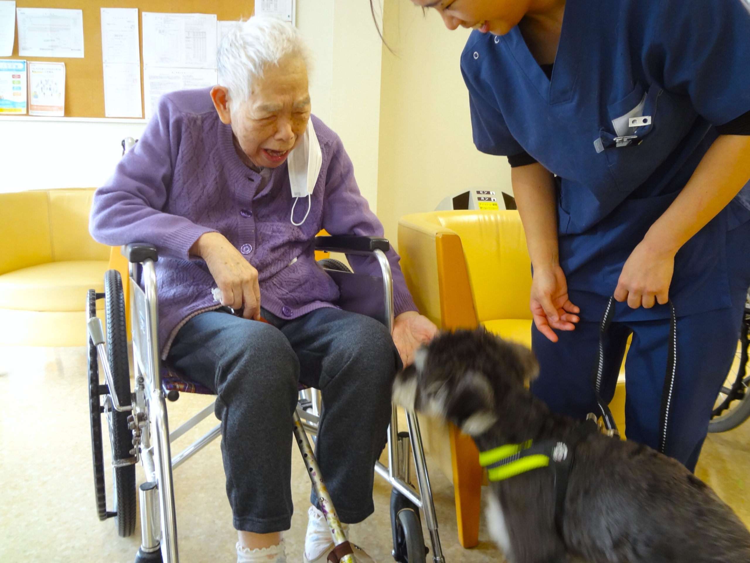 アニマルセラピー-5　ニチイホーム鷺沼南