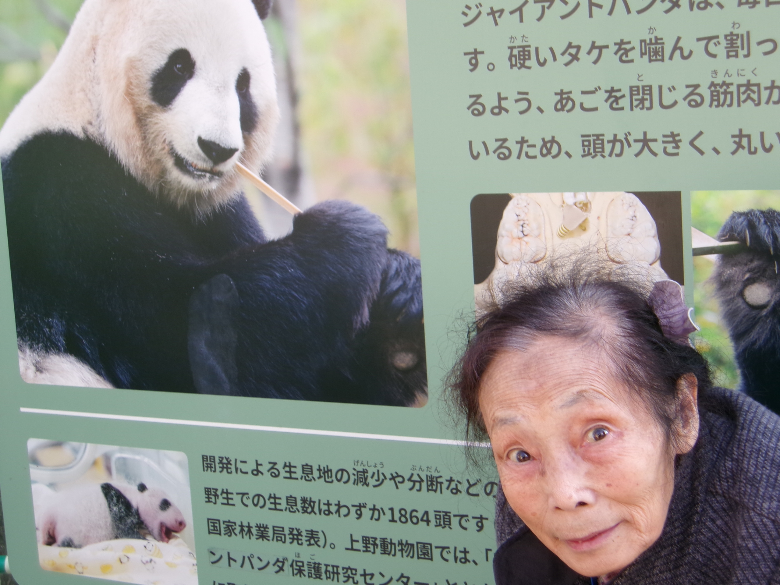 秋の外出-3 ニチイホームさいたま新都心