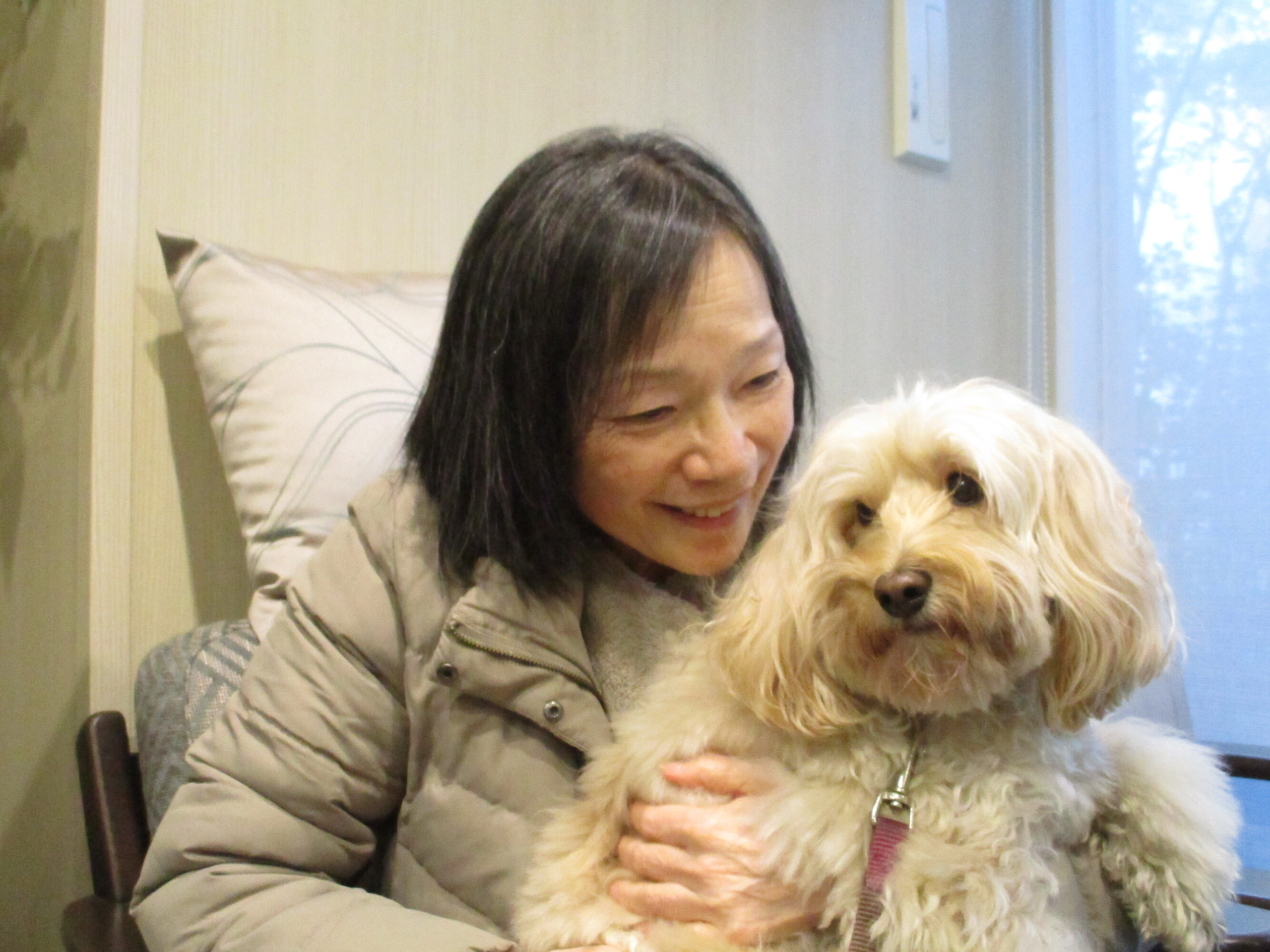 セラピー犬アミちゃん-2　ニチイホーム杉並堀ノ内