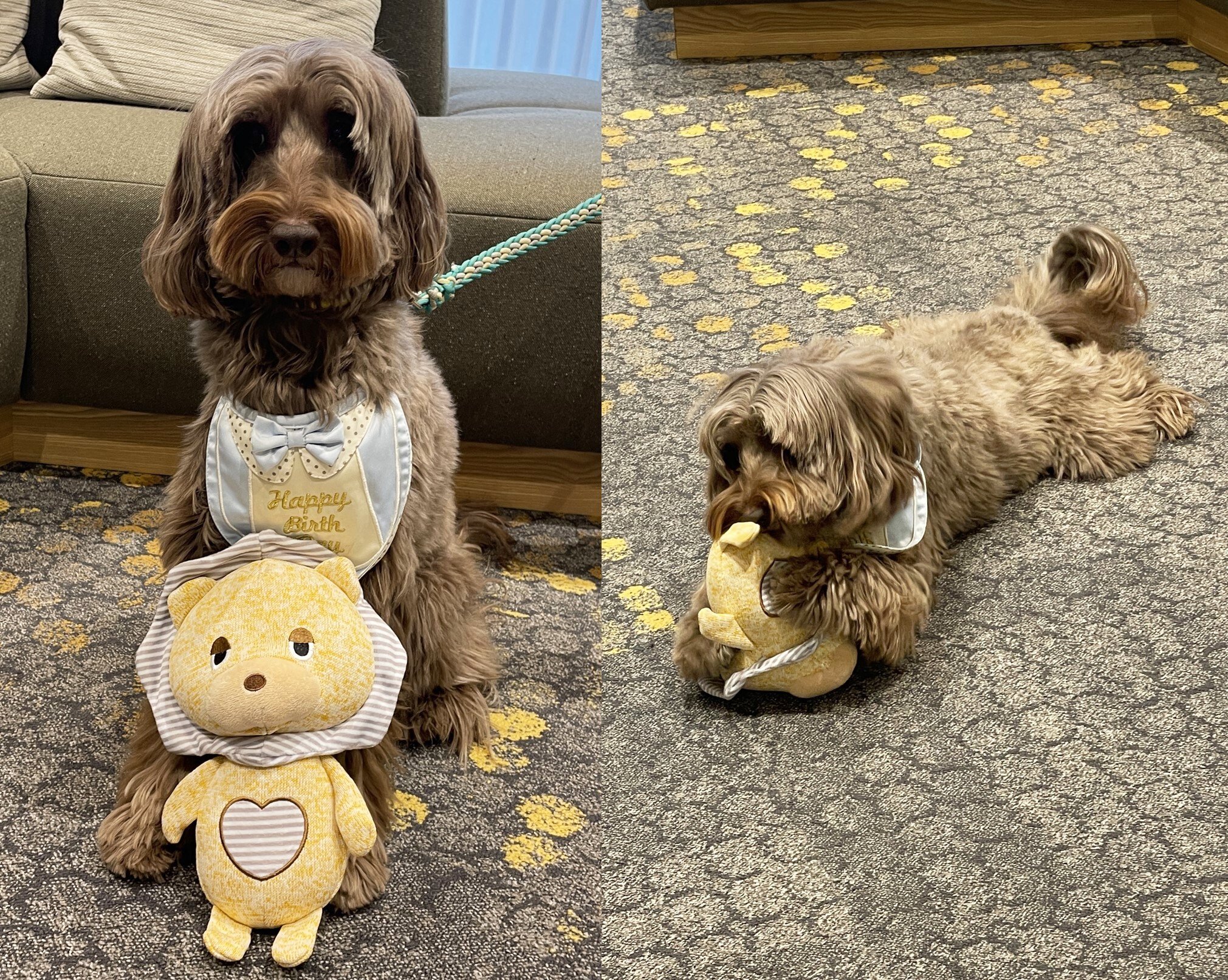 エルくんのお誕生日-6　ニチイホーム杉並松庵