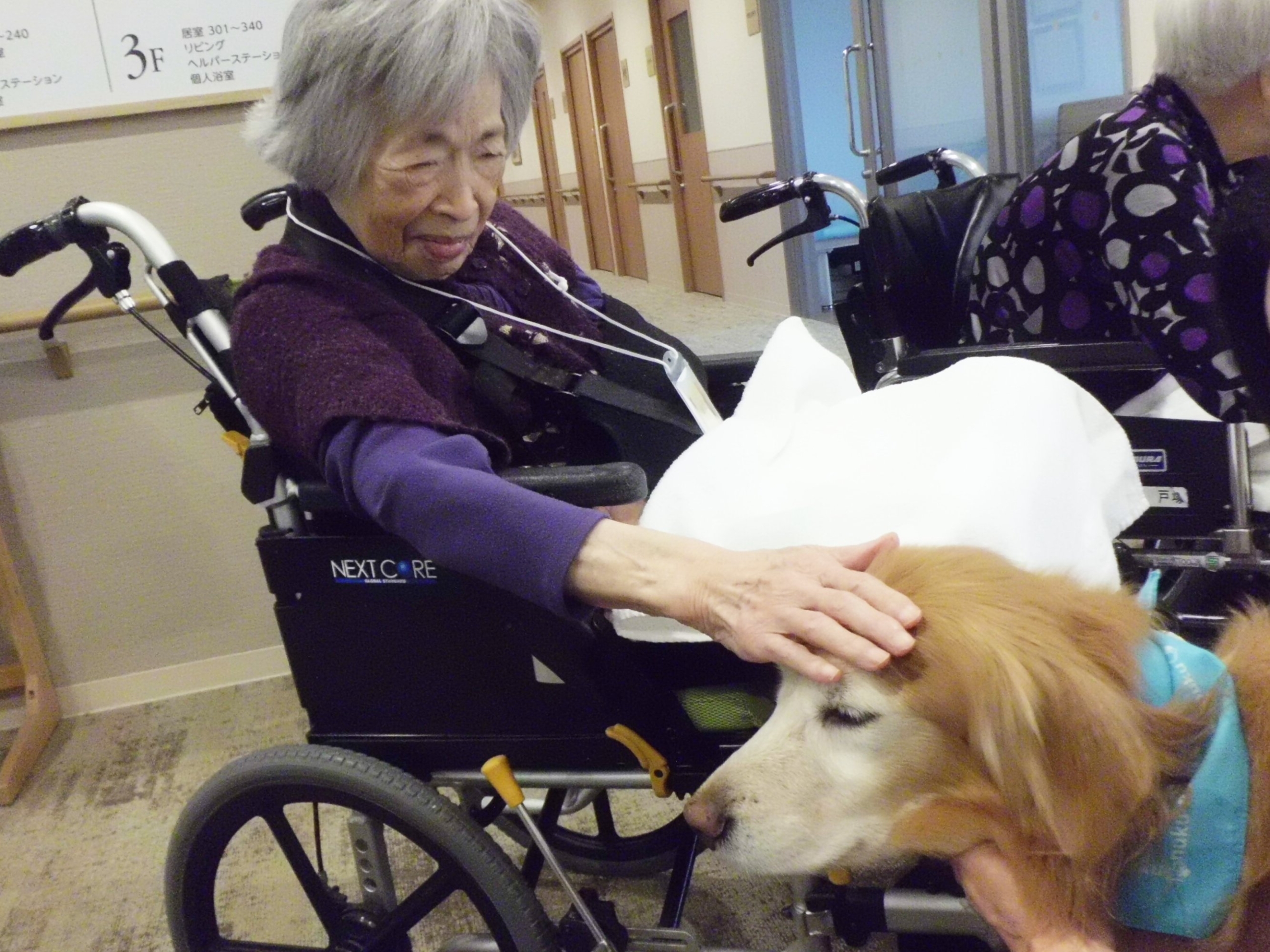 アニマルセラピー-4　ニチイホーム戸塚