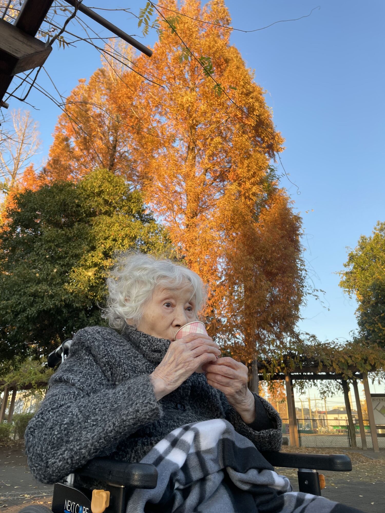 紅葉-4　ニチイホーム与野本町