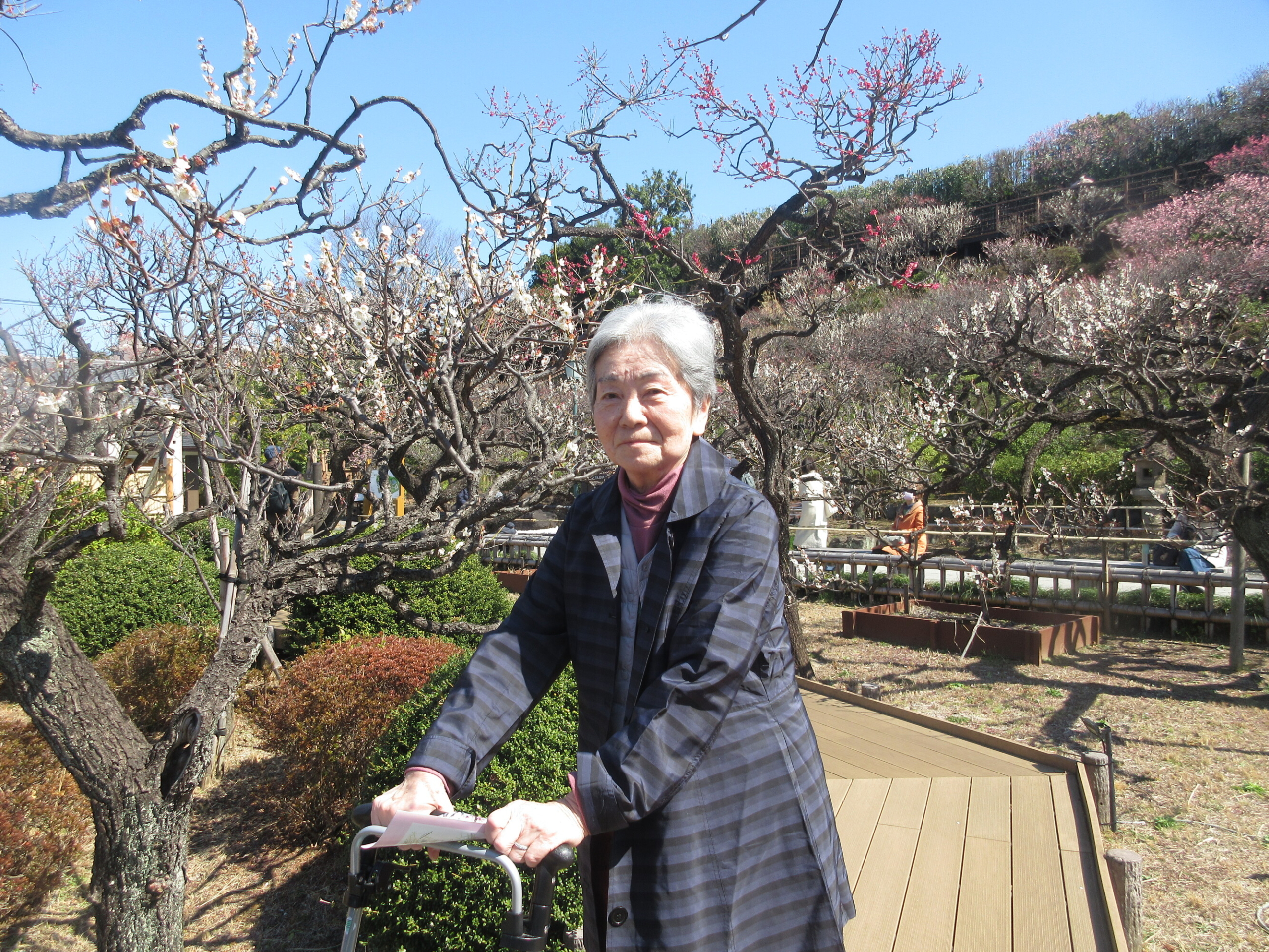 バースデーメモリー-1 ニチイホーム用賀