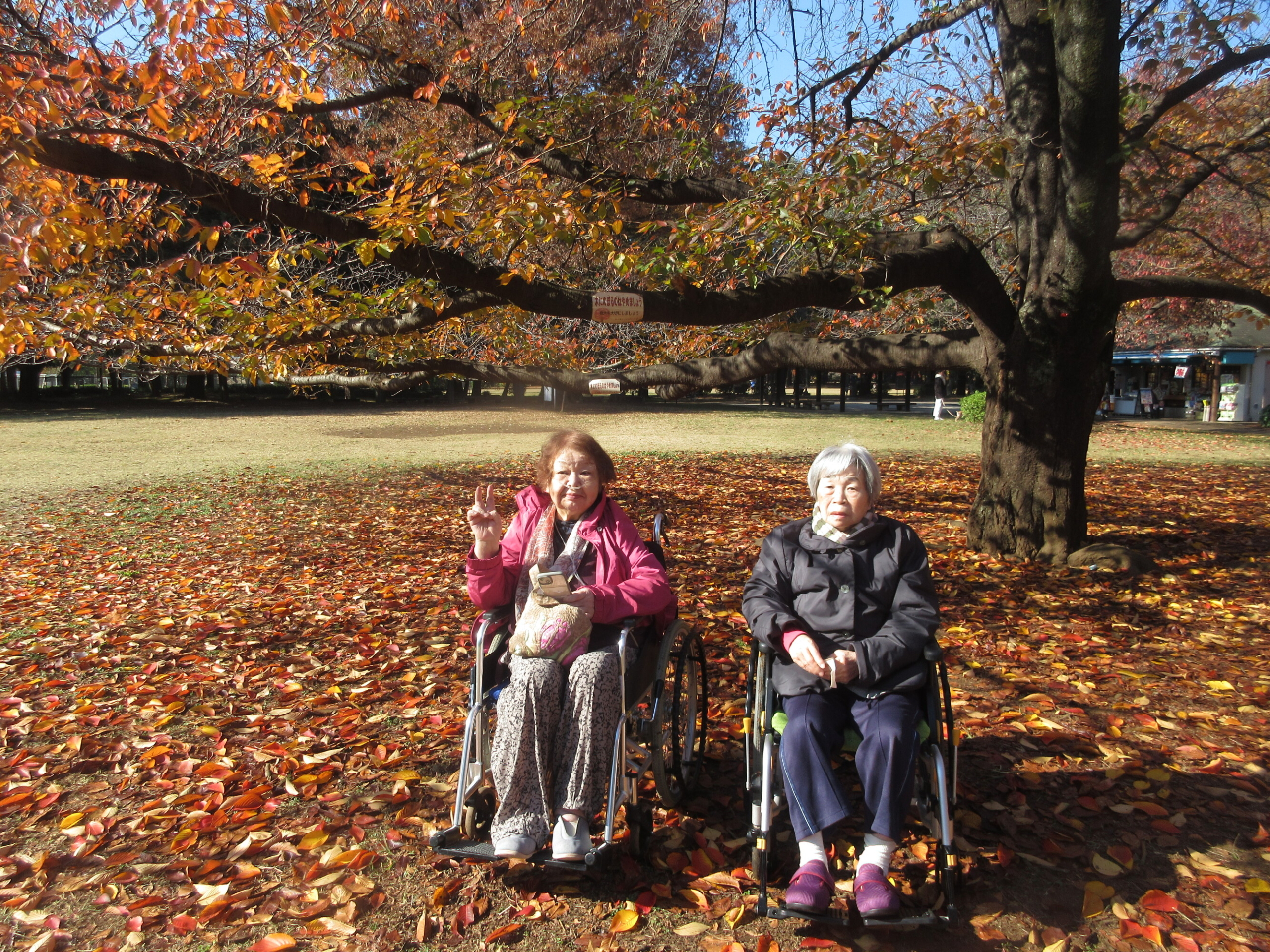 紅葉-2　ニチイホーム用賀