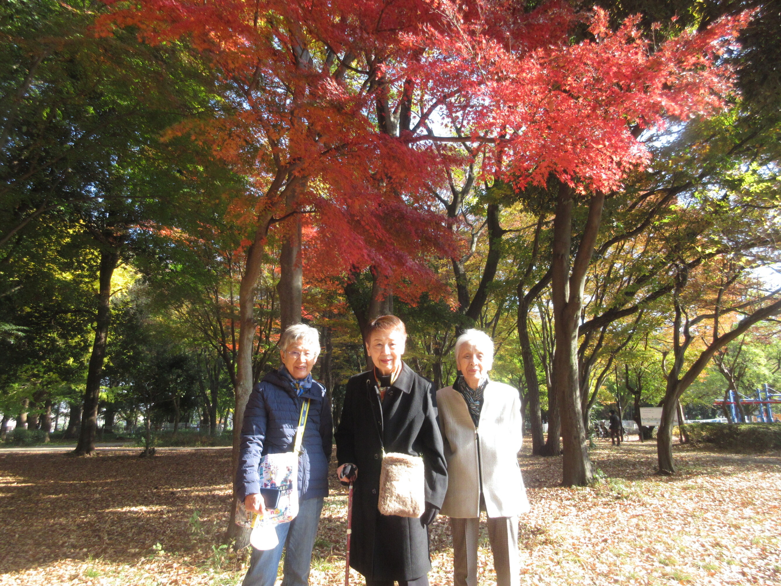 紅葉-4　ニチイホーム用賀