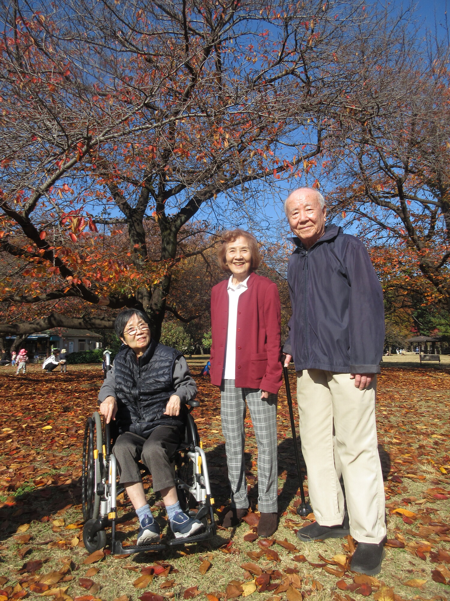 紅葉②-1 ニチイホーム用賀