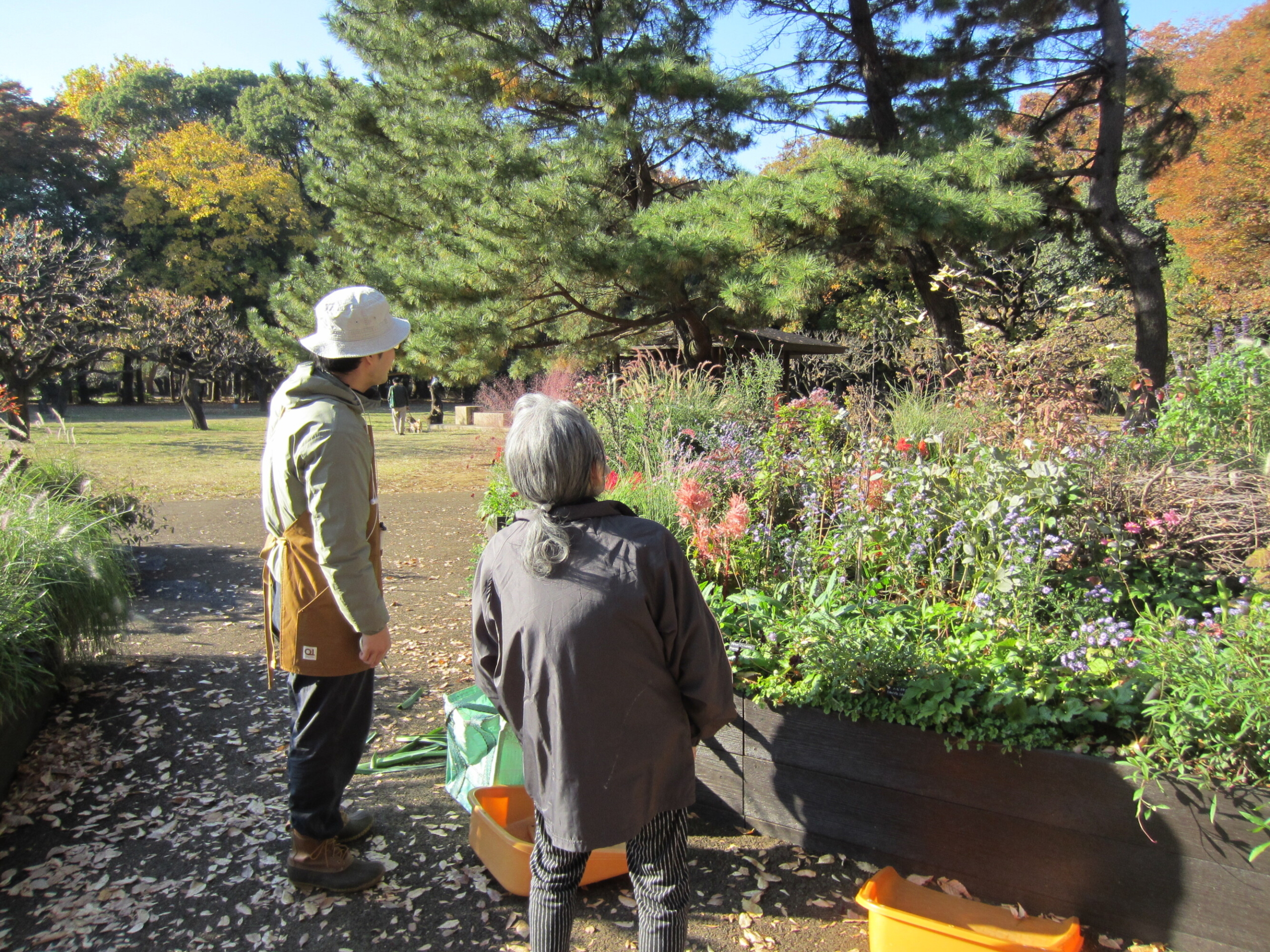 紅葉②-2　ニチイホーム用賀