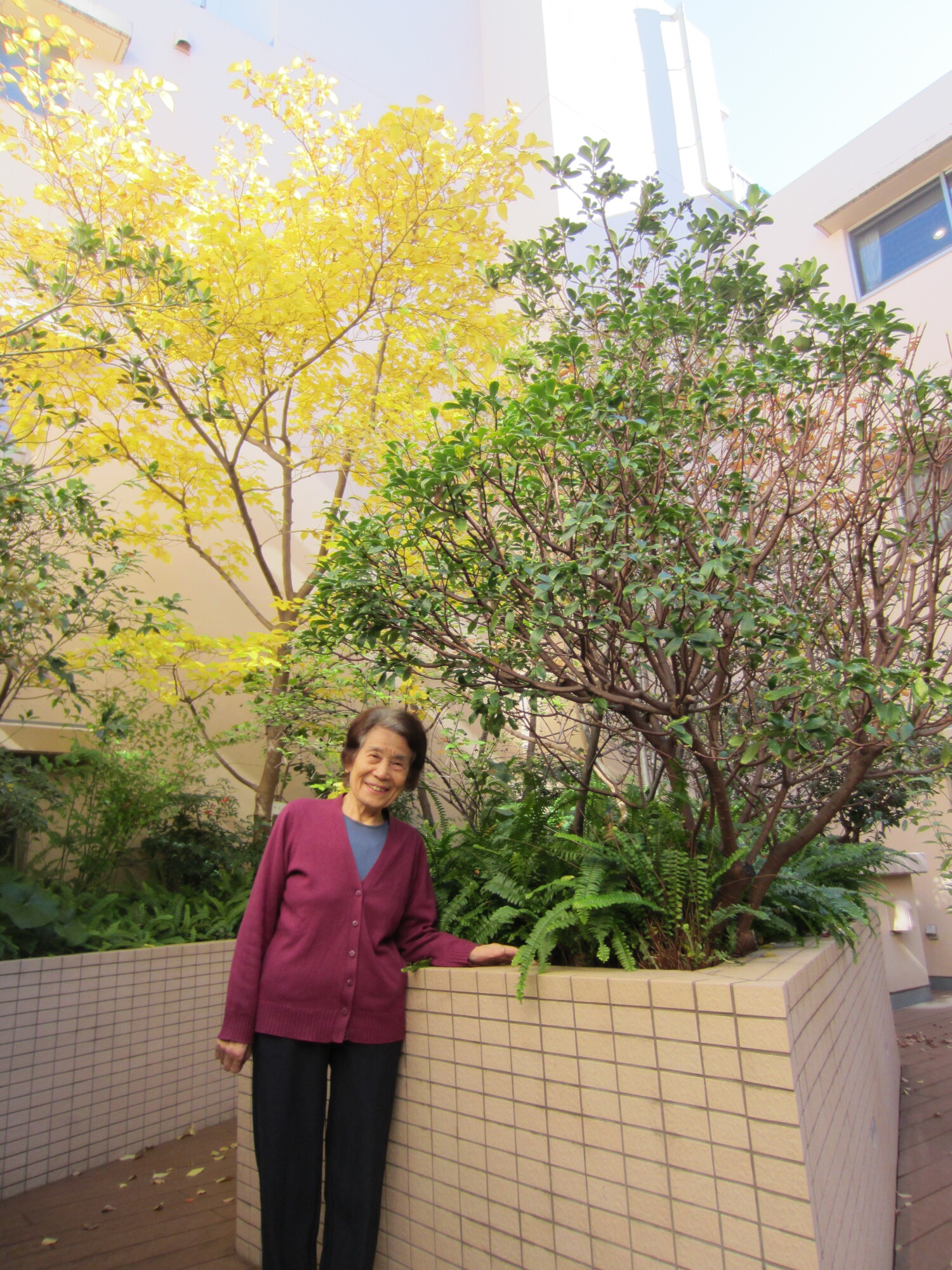 紅葉②-5　ニチイホーム用賀