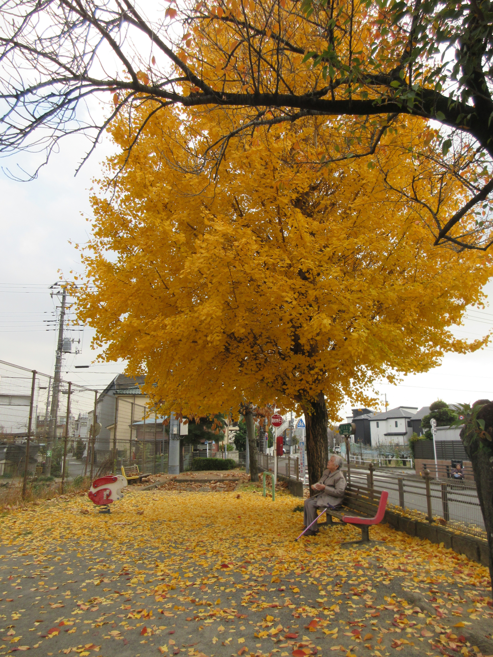 ニチイホーム稲城紅葉１