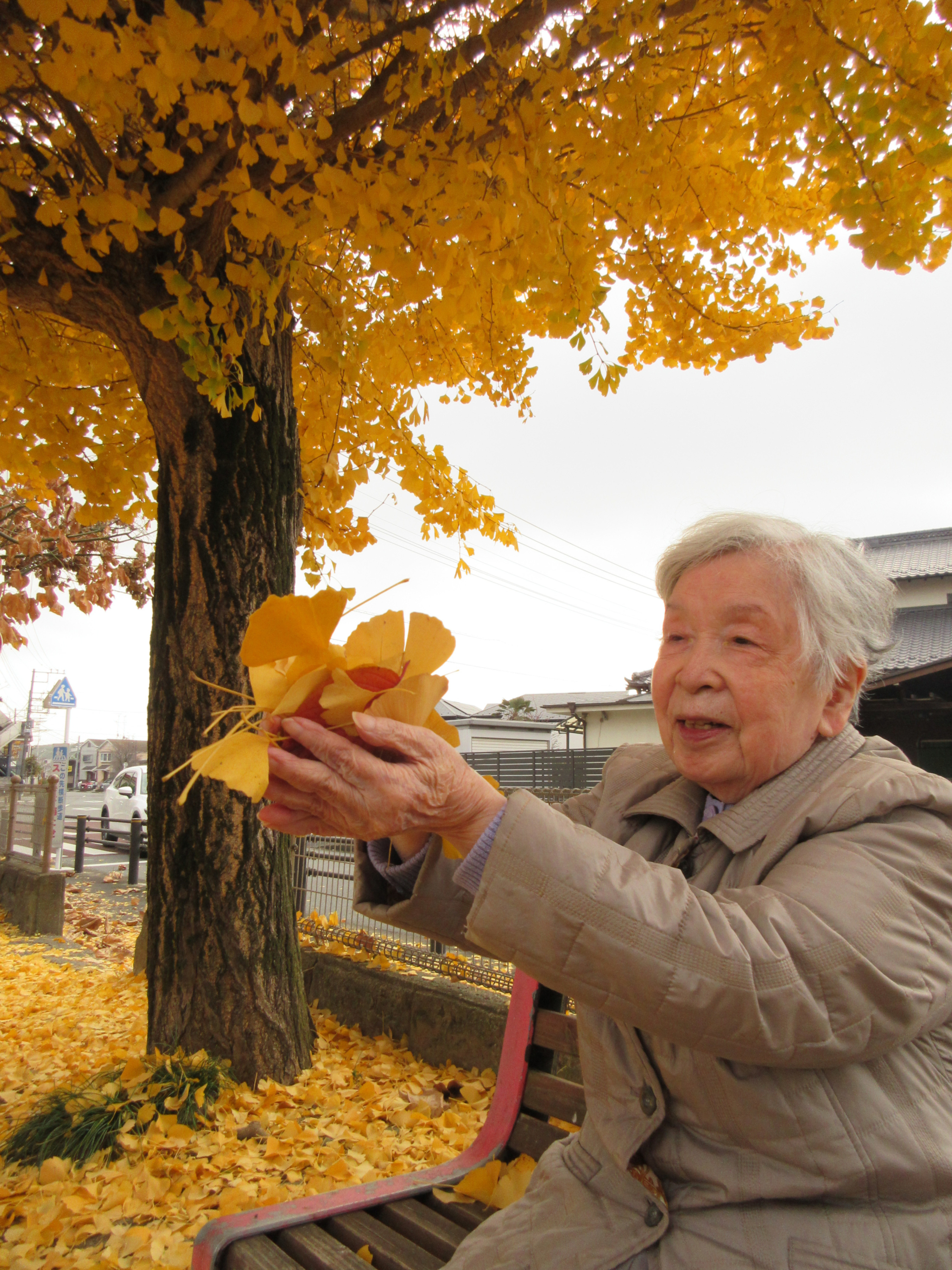 ニチイホーム稲城紅葉２