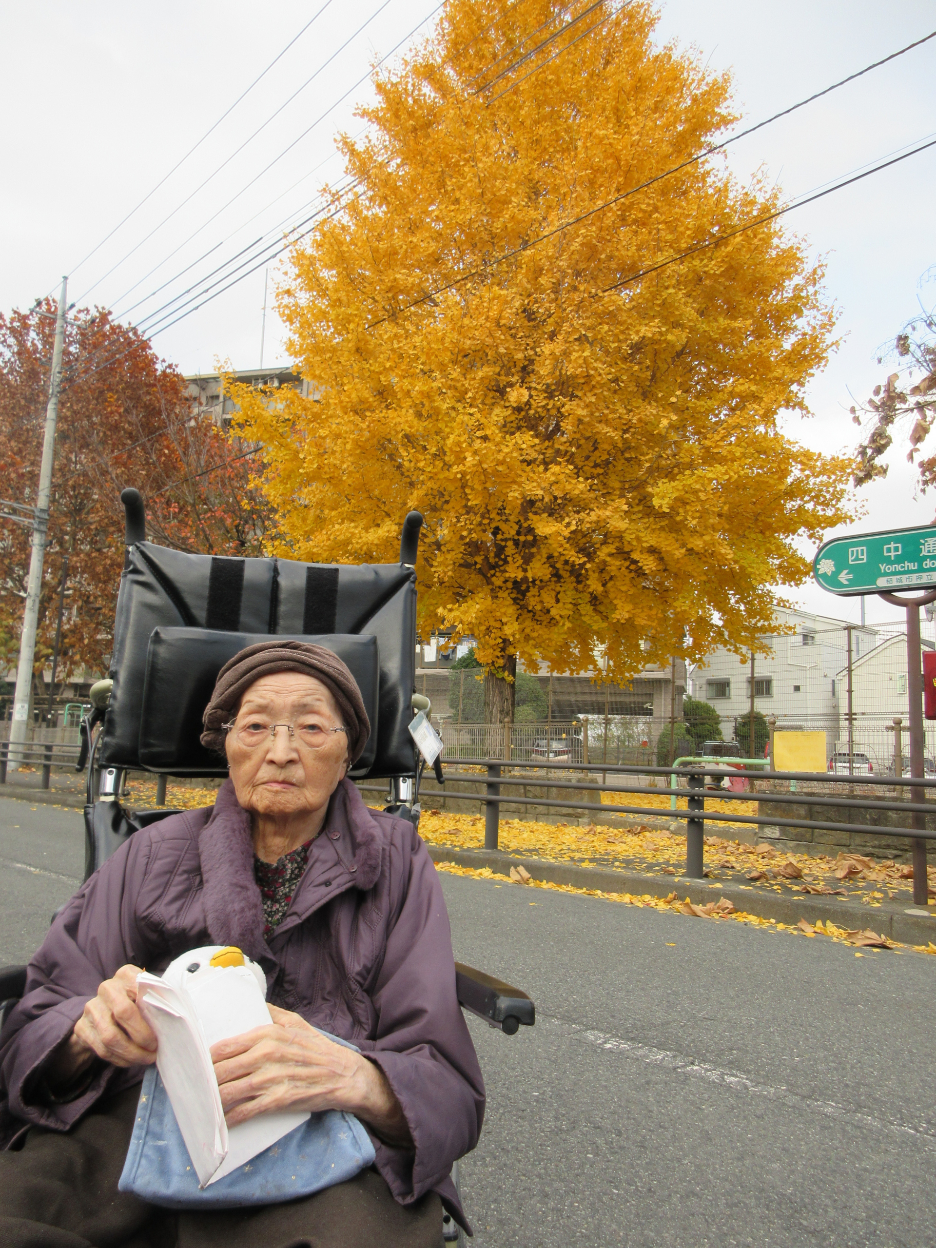 ニチイホーム稲城紅葉３