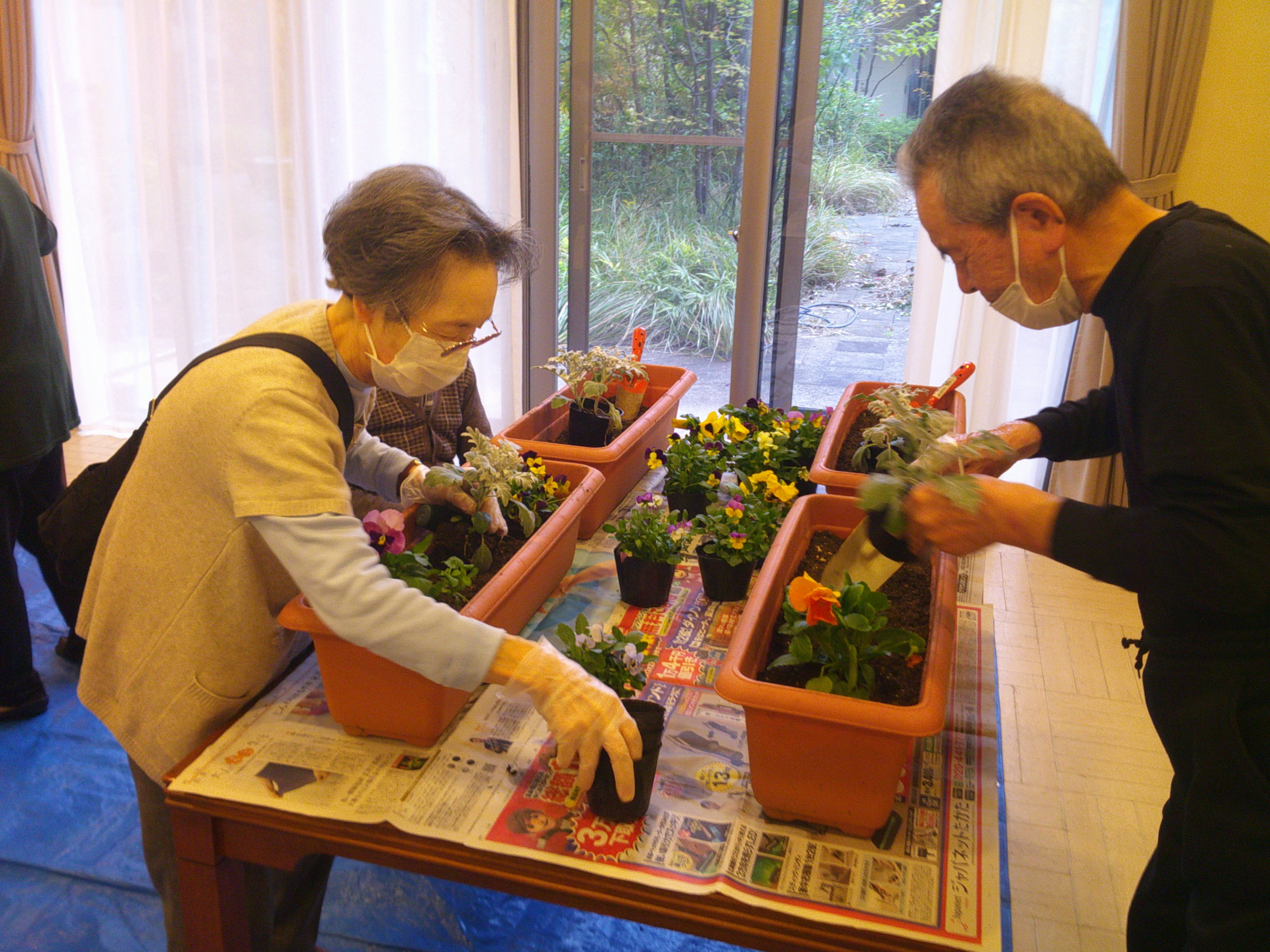 ニチイメゾンプランター植え替え１