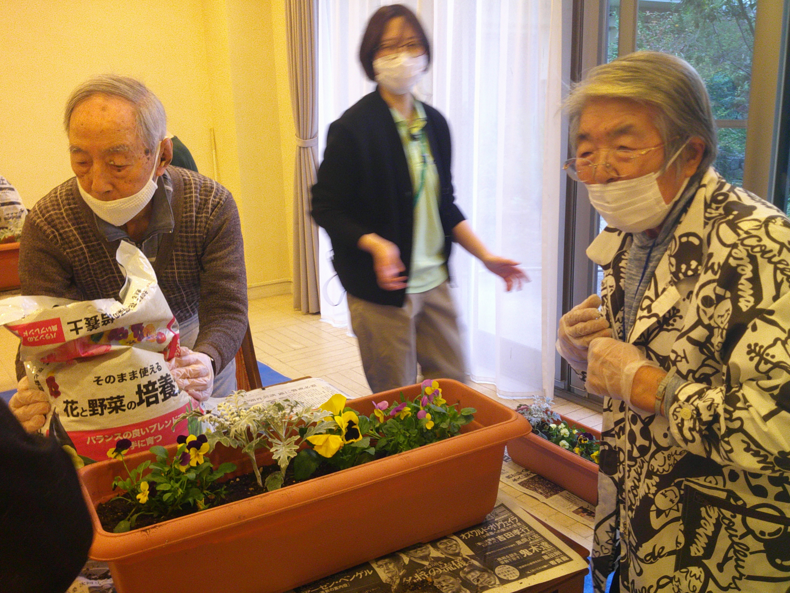 ニチイメゾンプランター植え替え２