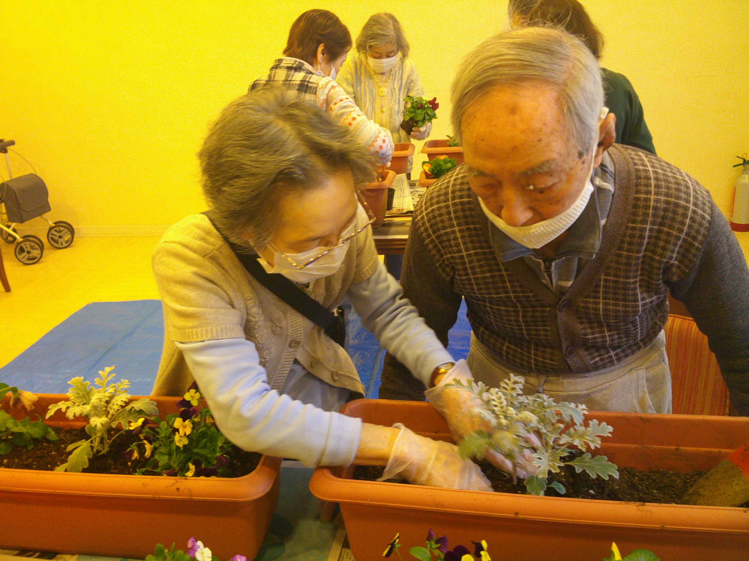 ニチイメゾンプランター植え替え3