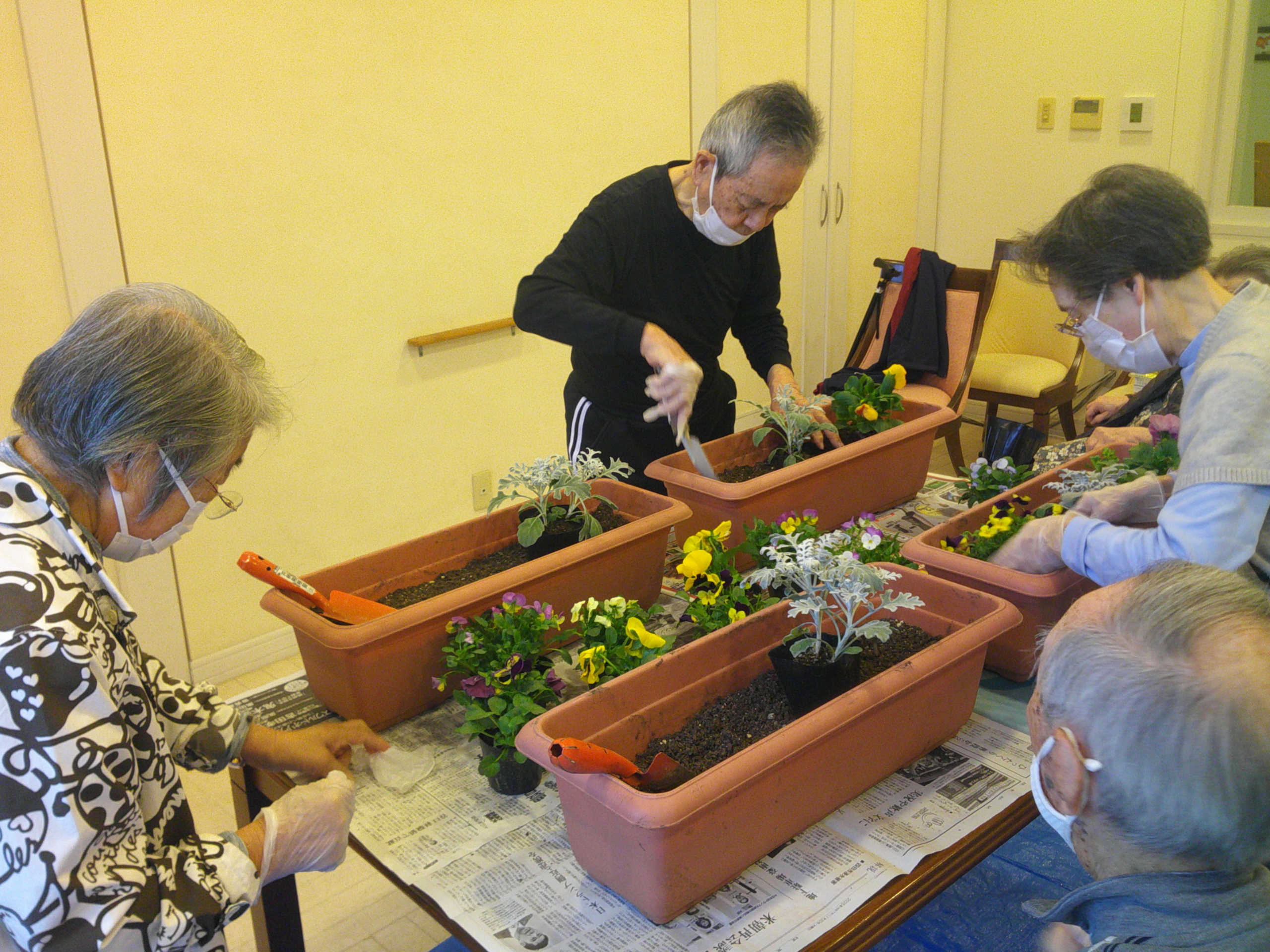 ニチイメゾンプランター植え替え６