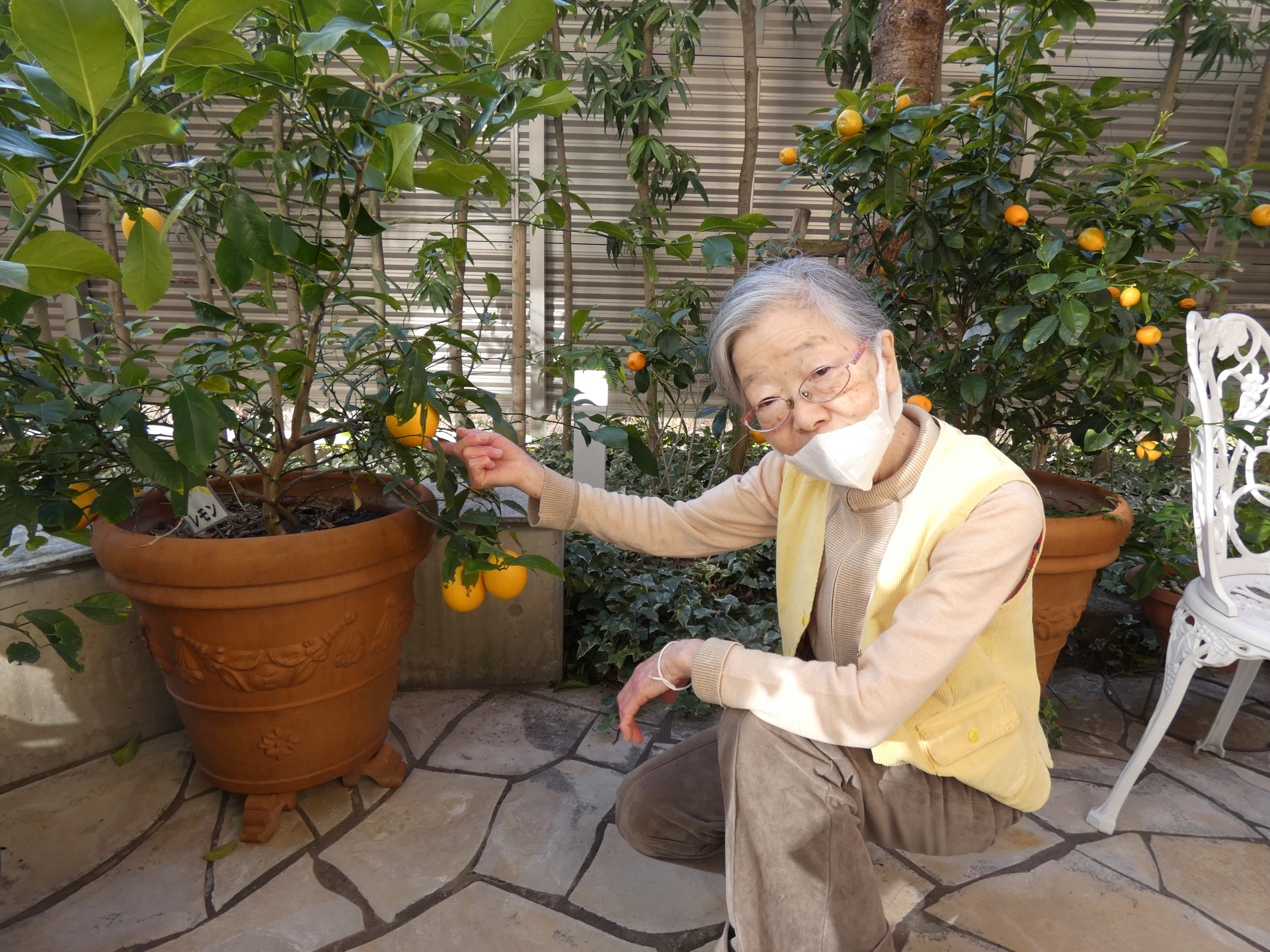 ニチイメゾン北豊島レモン4